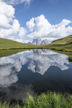 Acqua