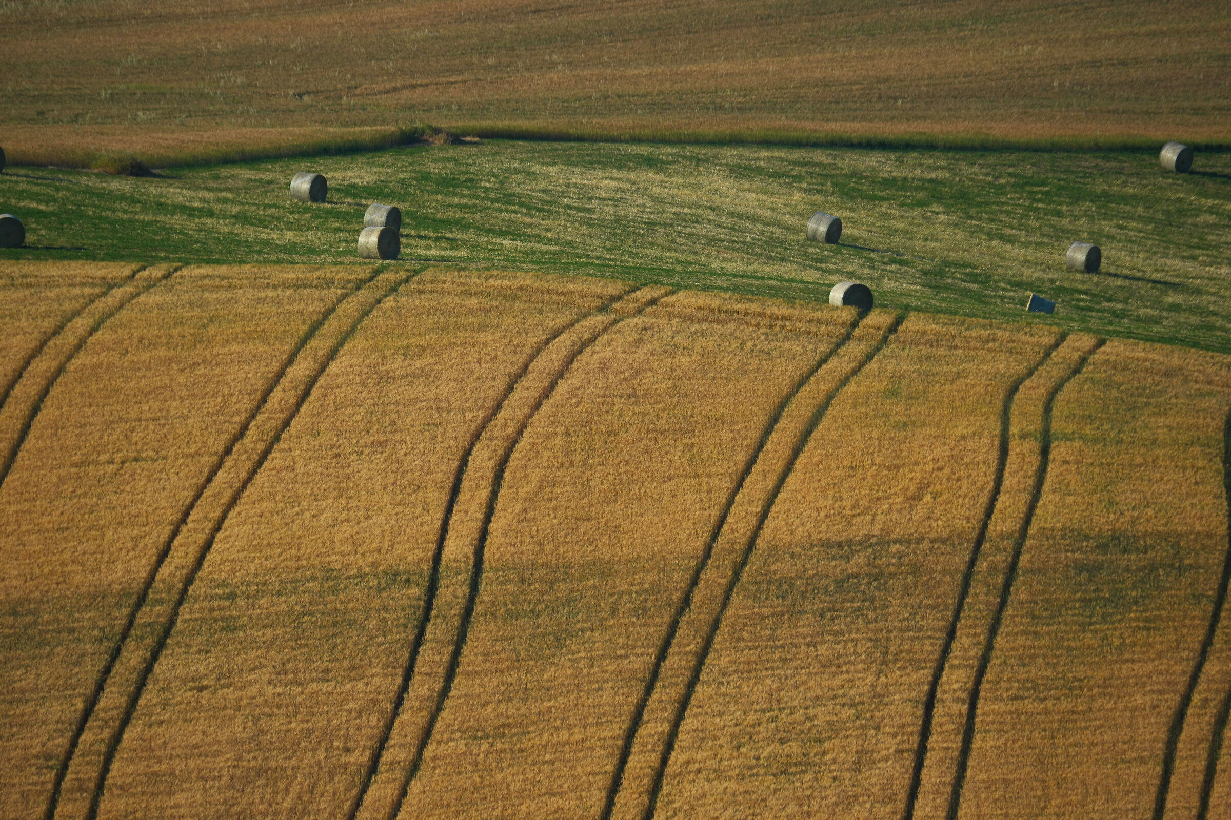 Fields