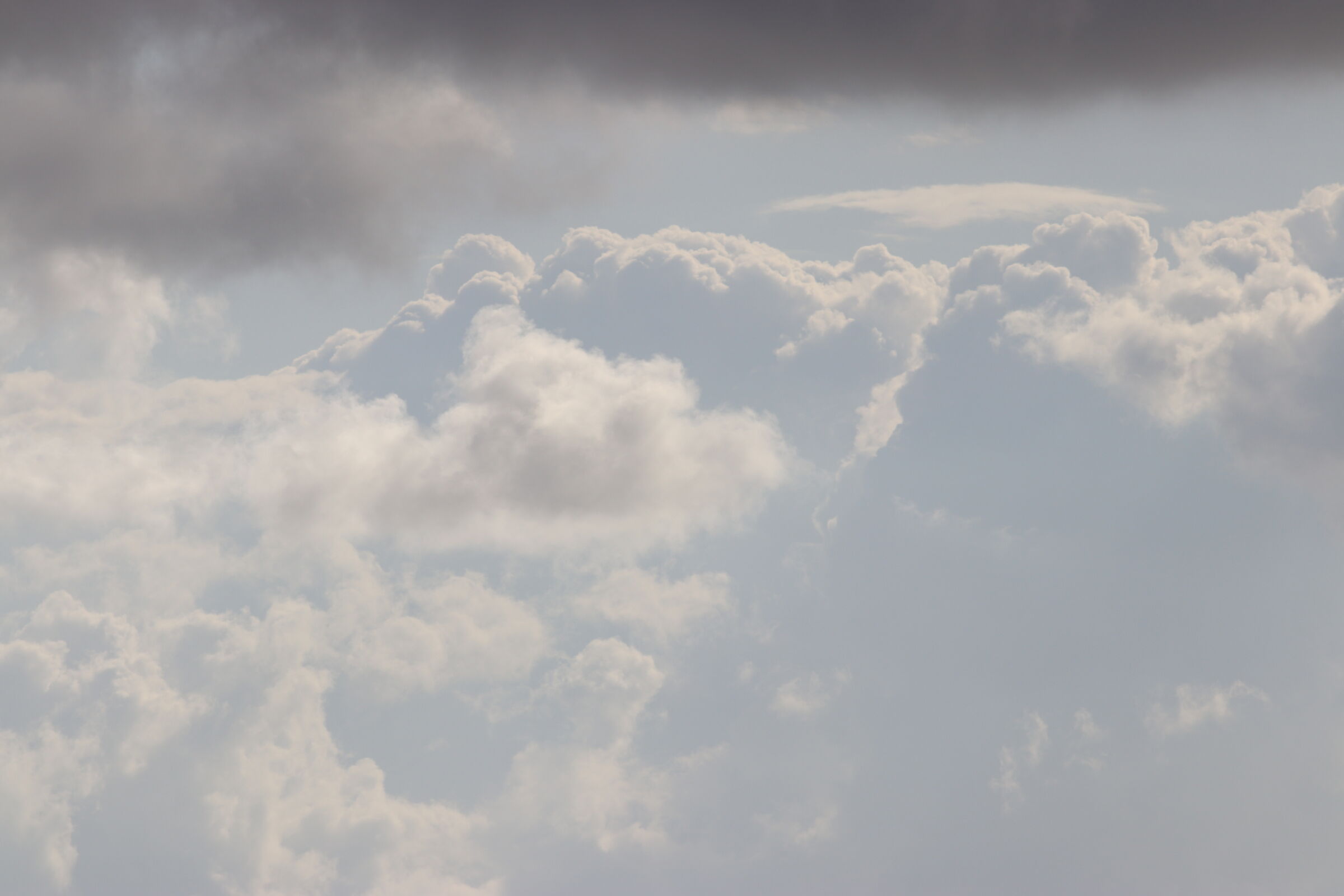 "Crop 4 cento 50" Canon 200 2.8 L Usm+ TC 1.4x iii, D80
