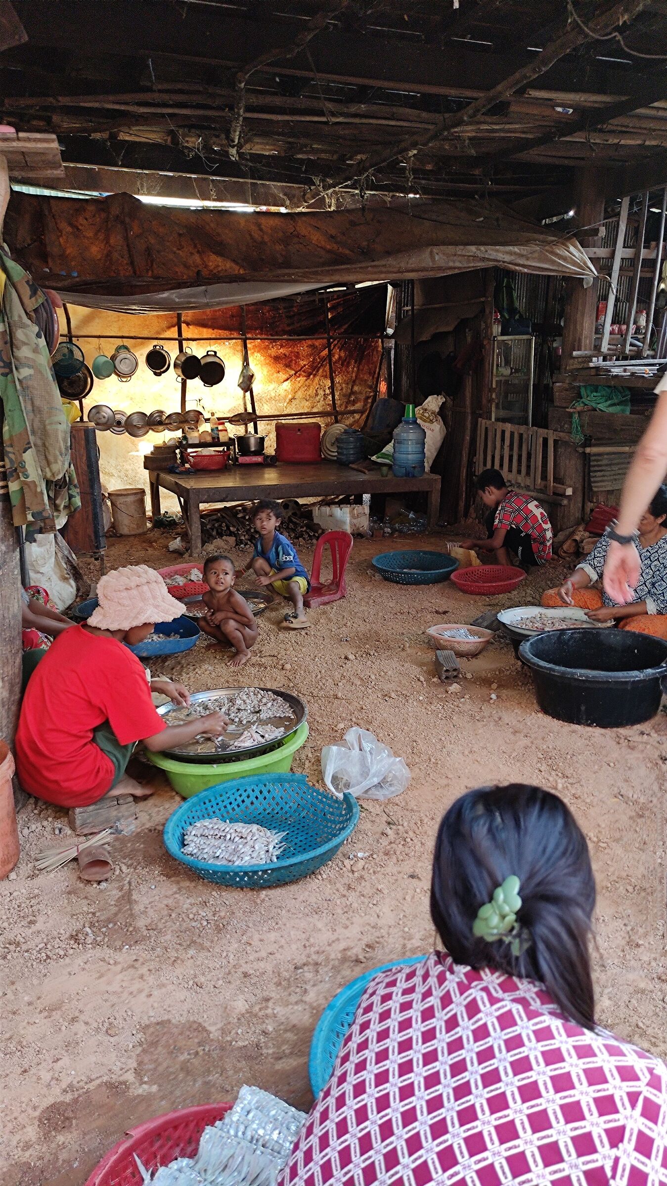 Preparations for drying fish