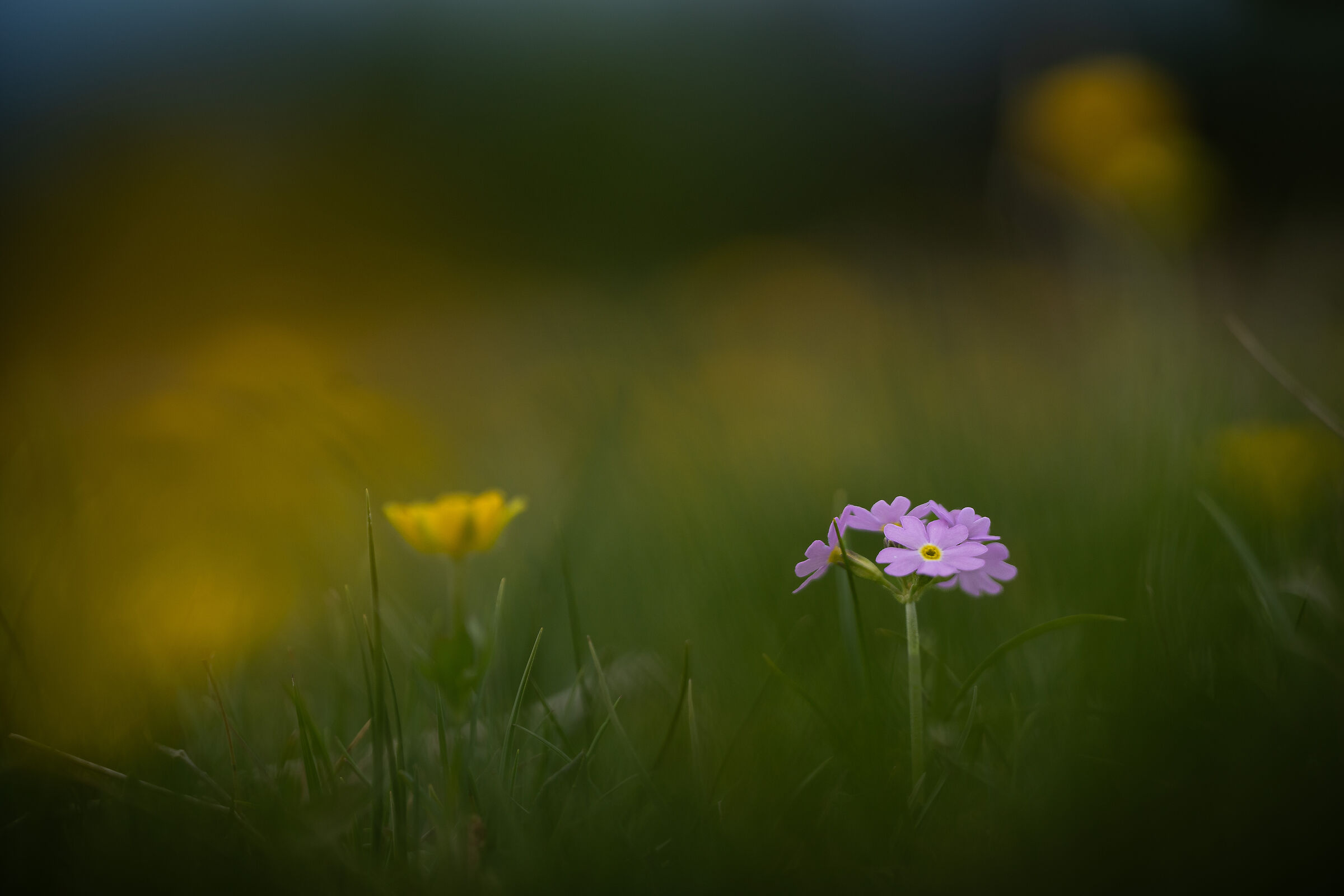 Untitled Photo