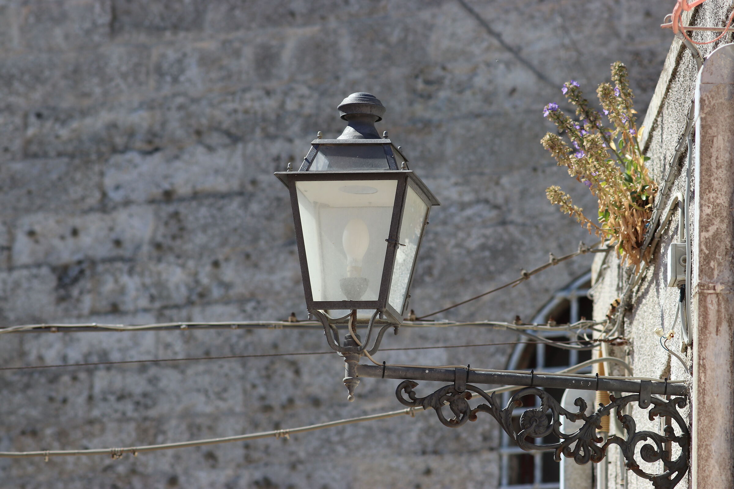 " Crop 3 Cento 20 " Canon 200 F. 2.8 L II, D 80