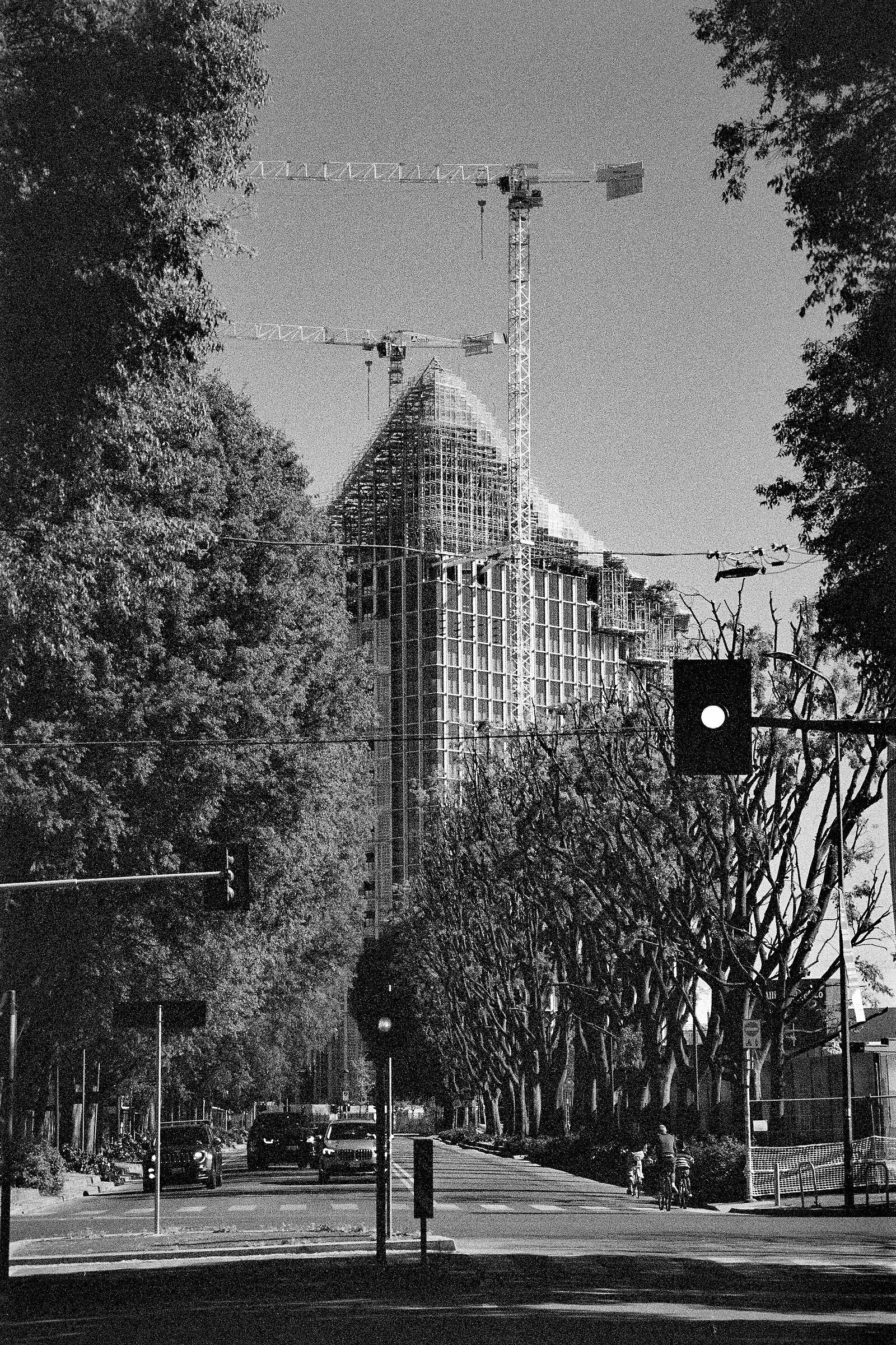 Giungla urbana