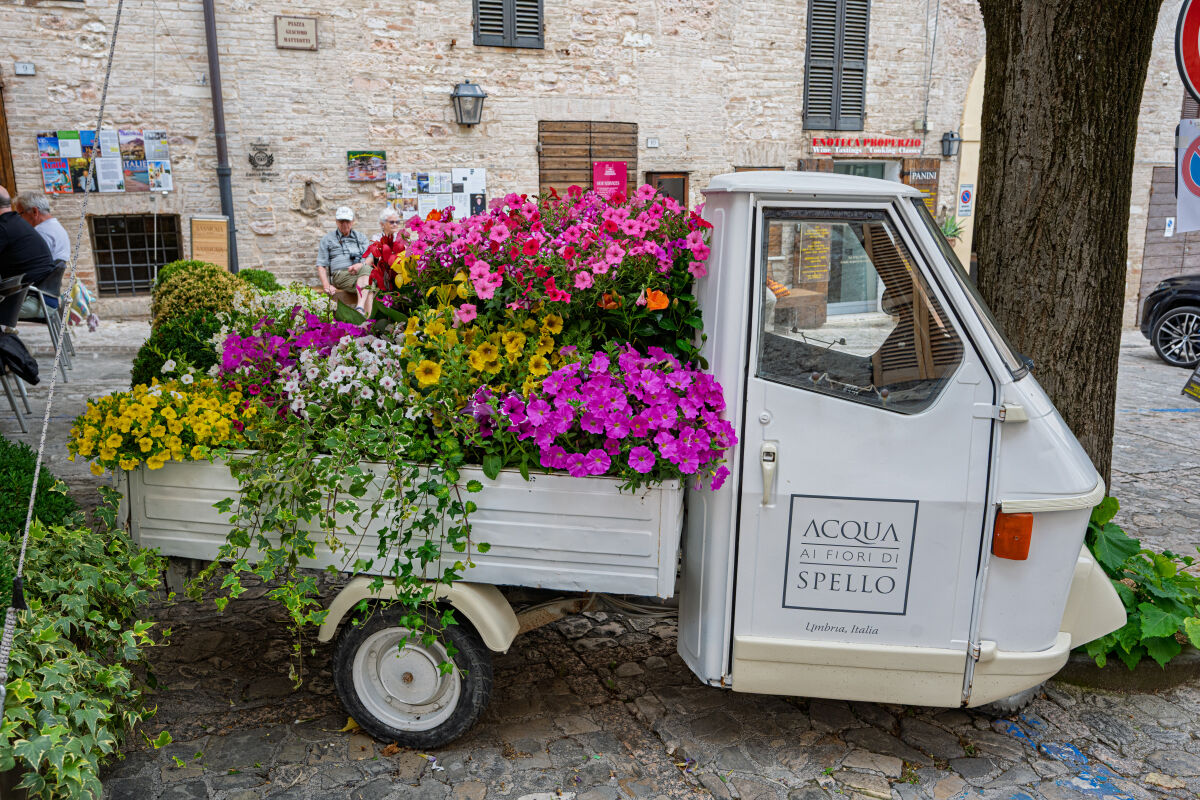 SPELLO Pg - Infiorata 2026