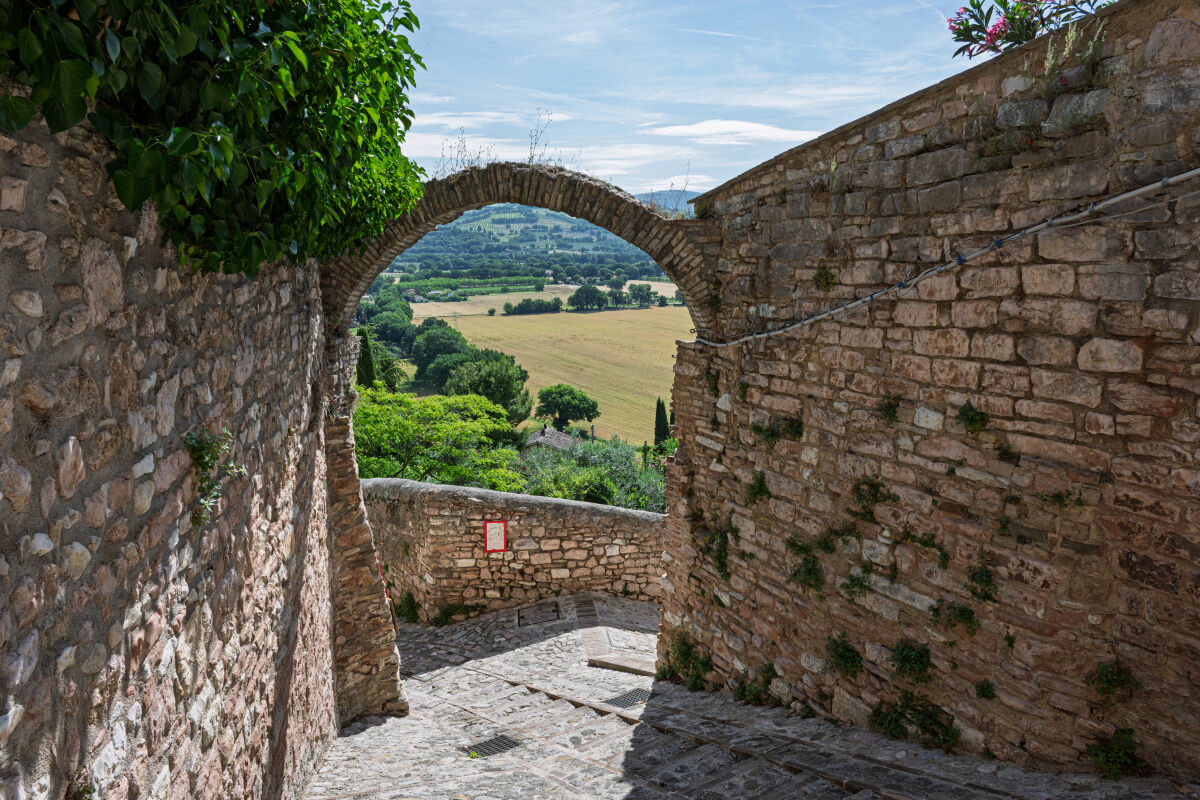 SPELLO Pg - Infiorata 2026