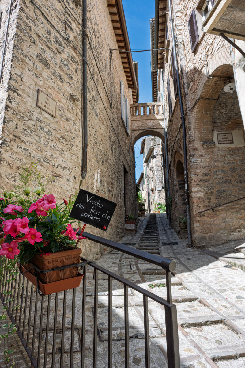 SPELLO Pg - Infiorata 2026