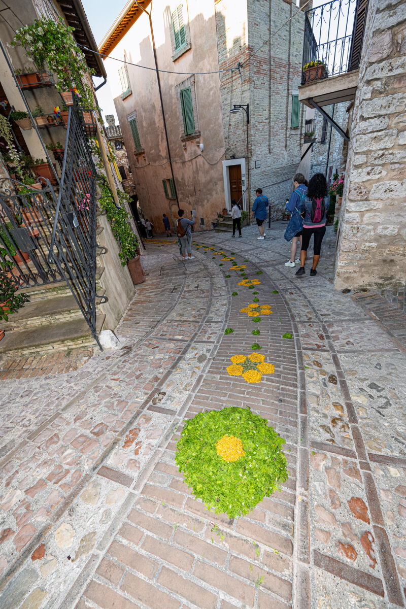 SPELLO Pg - Infiorata 2026