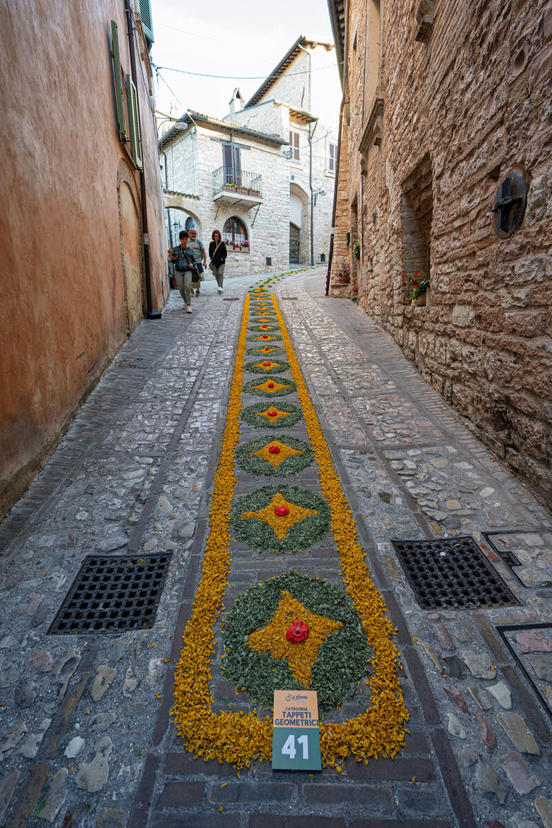 SPELLO Pg - Infiorata 2026