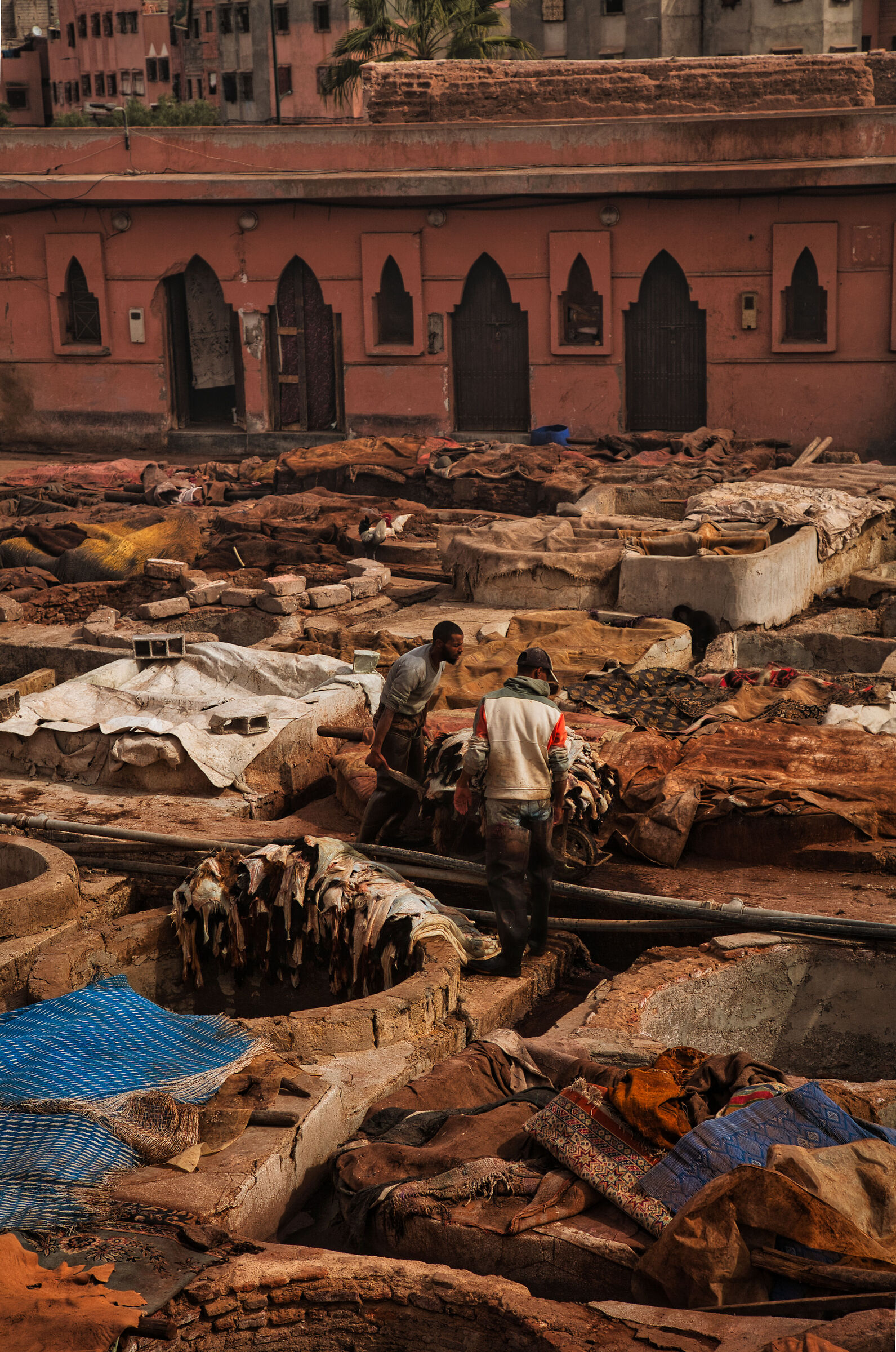 Marrakech - tanneries