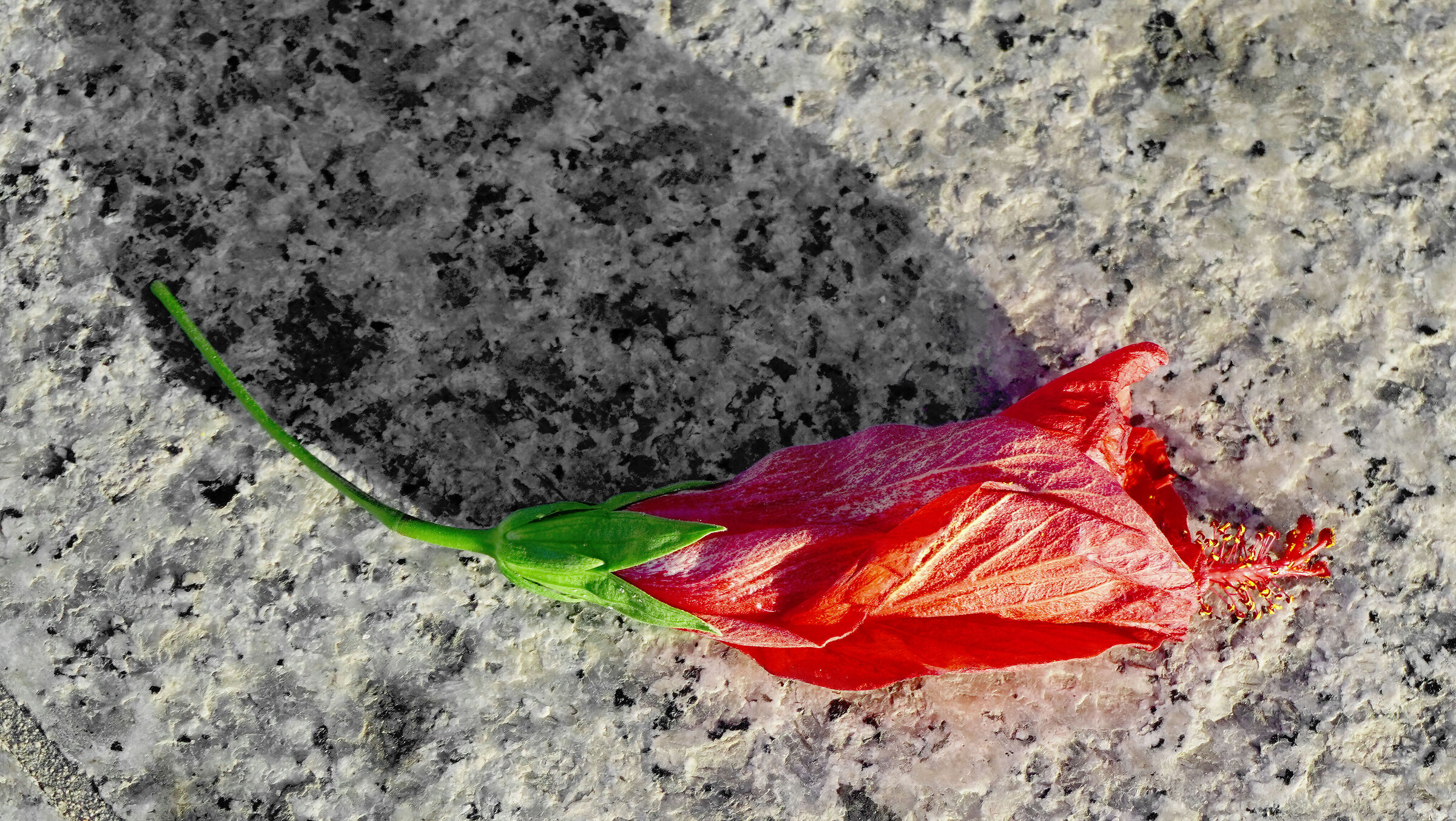 transience