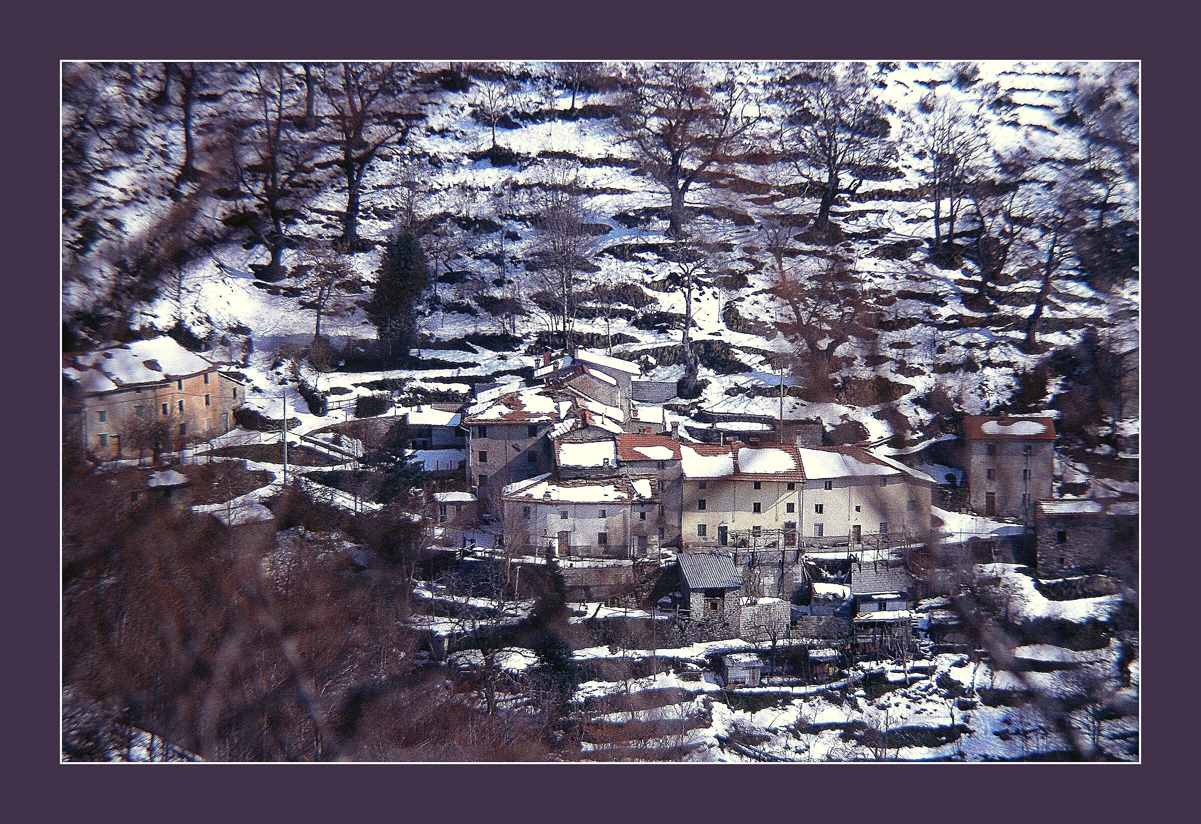 Case Calistri