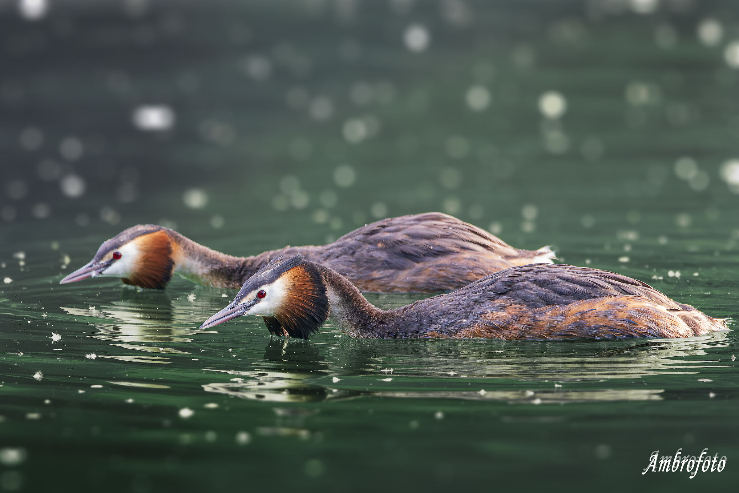 On the surface of the water