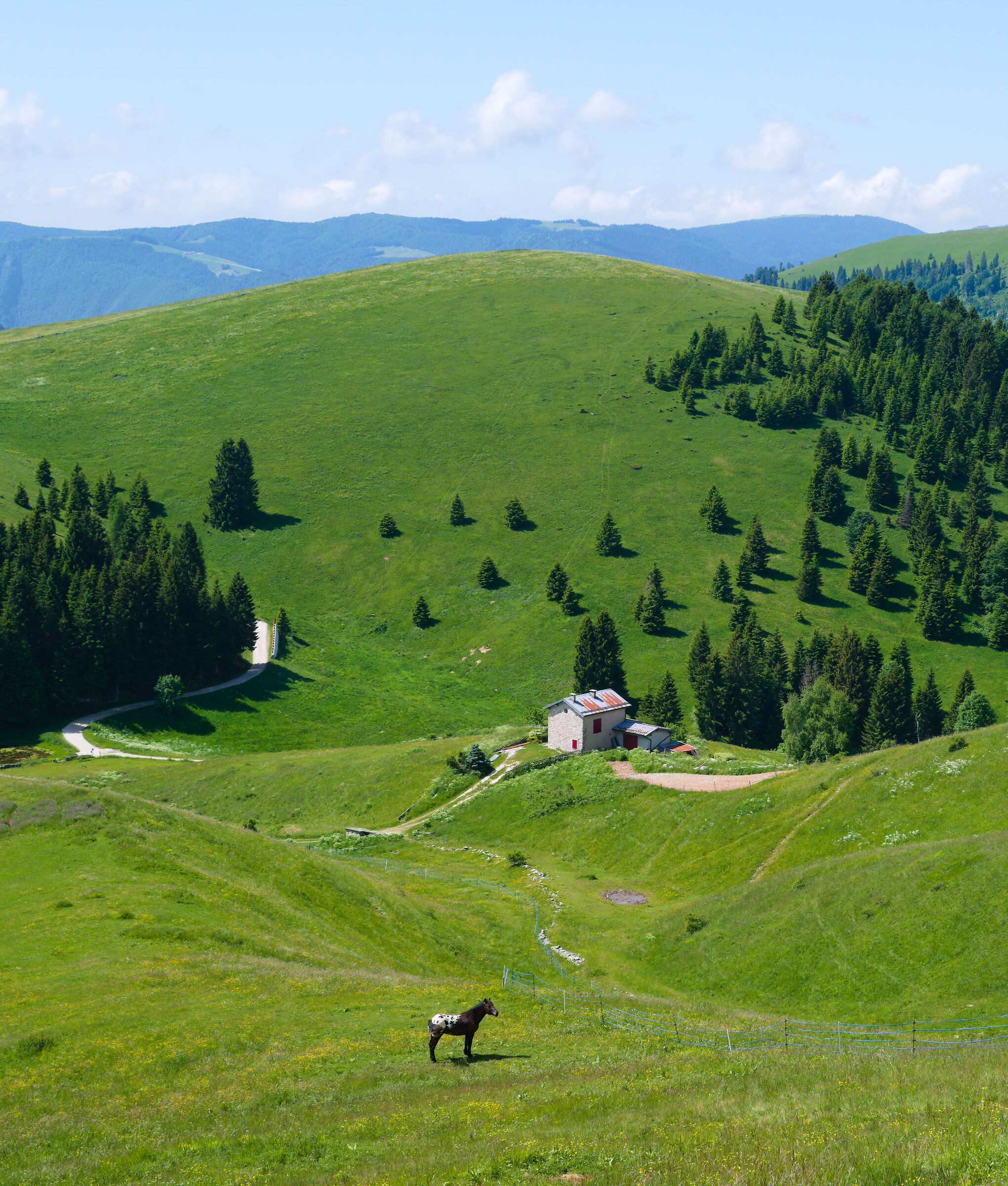 Mount Lisser