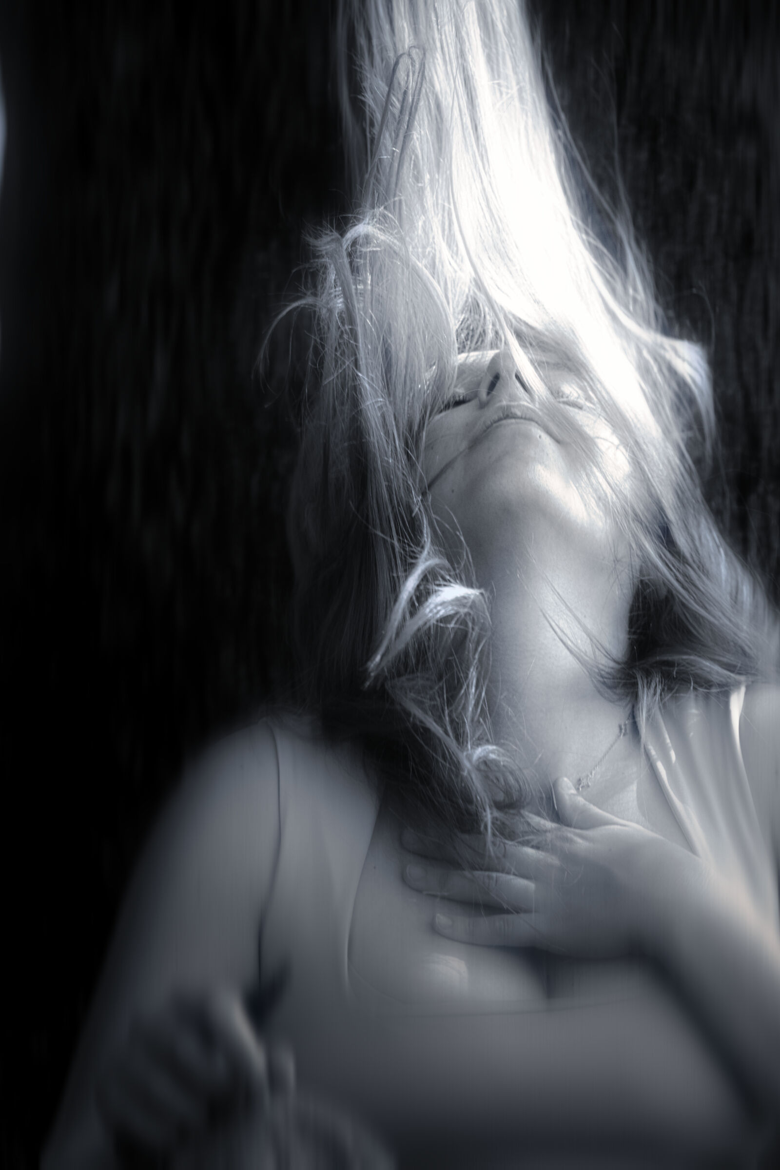 Untitled Photo