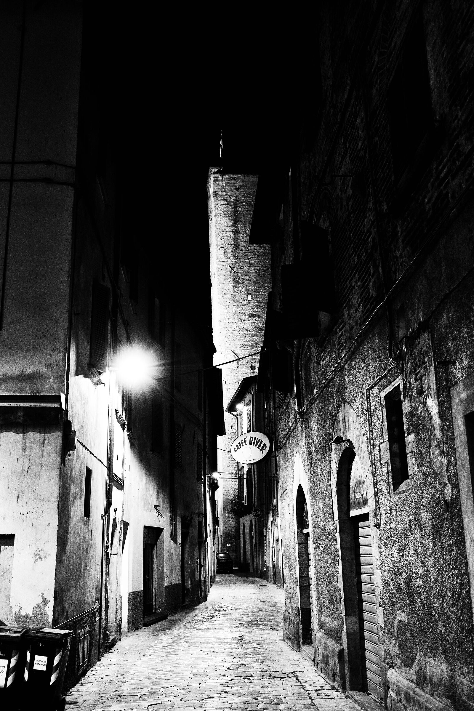 Night Crawler