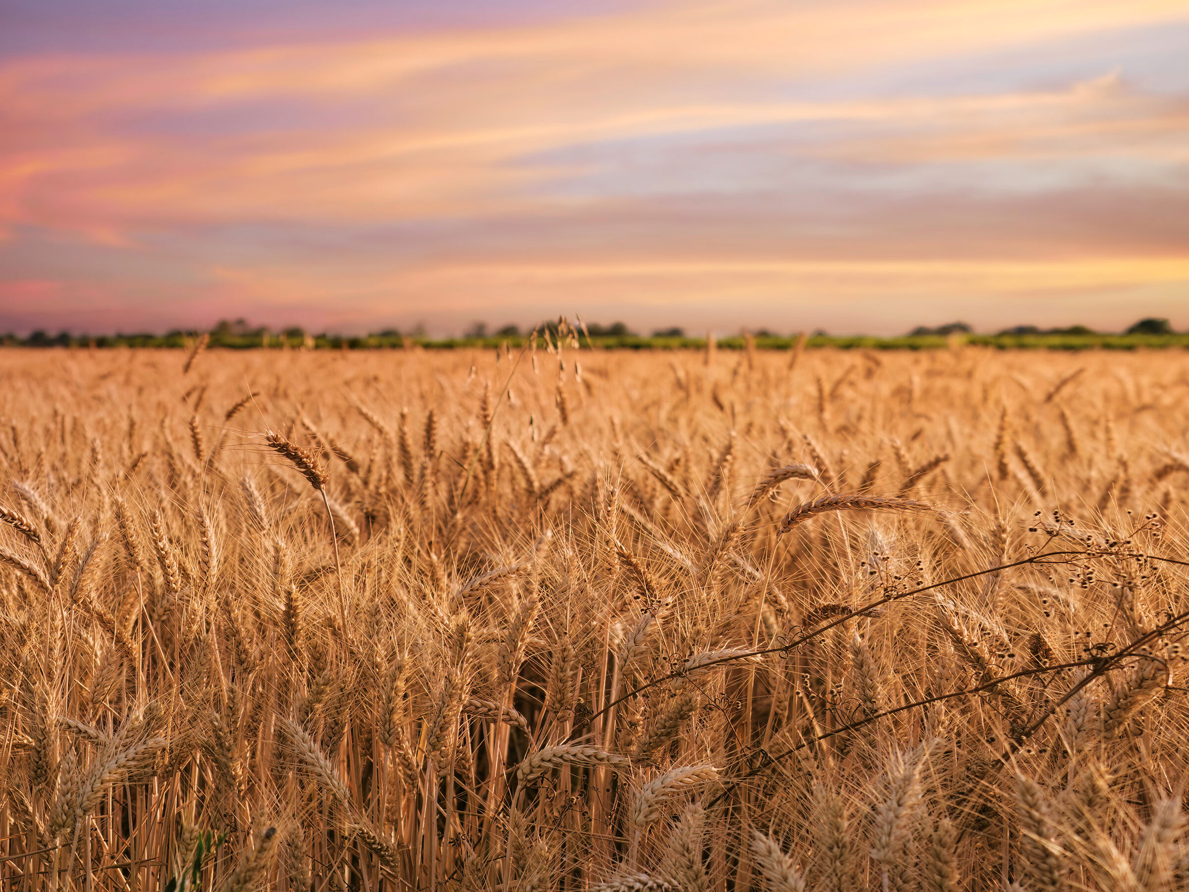 Rural Sunset