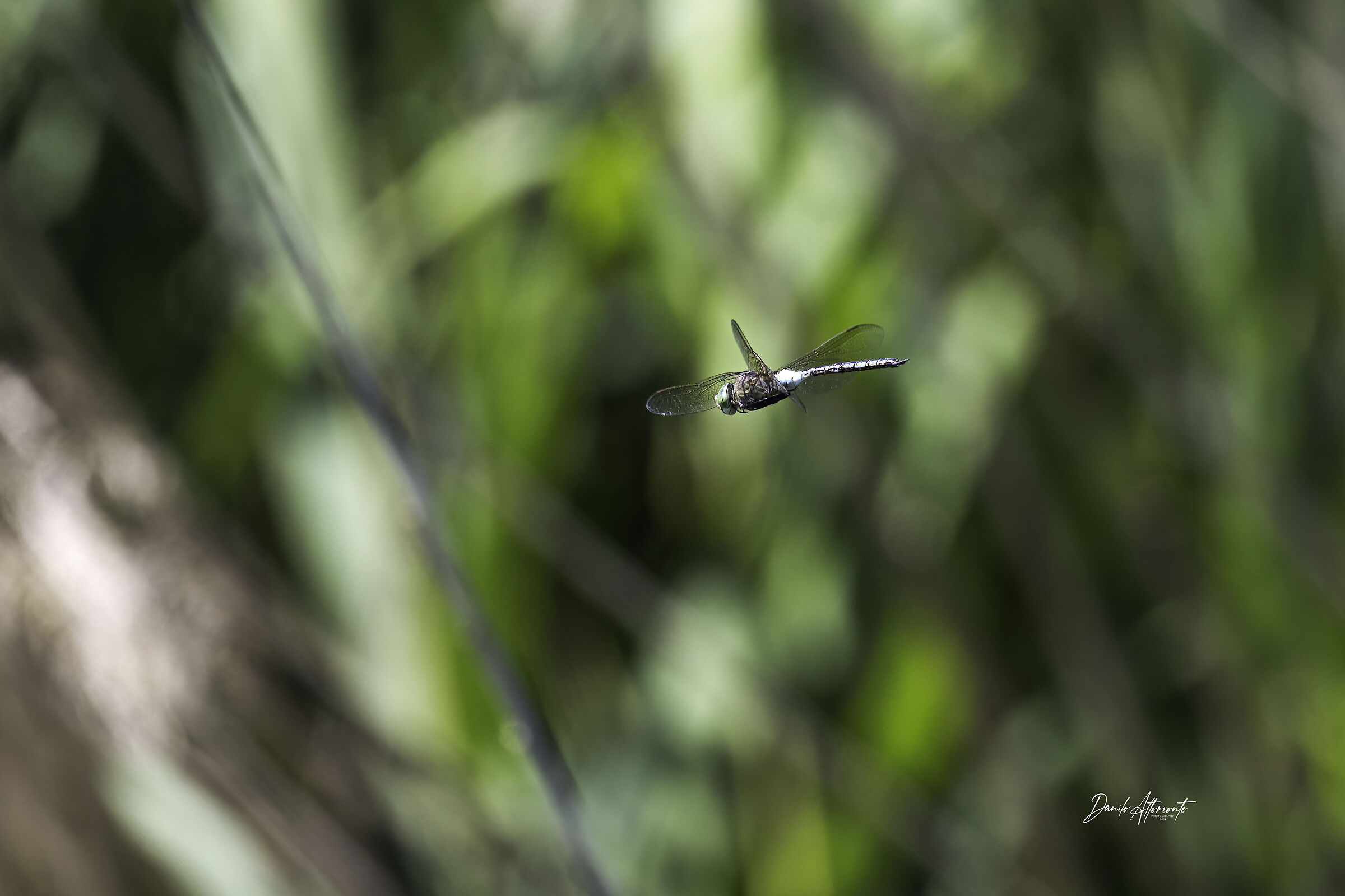 Untitled Photo