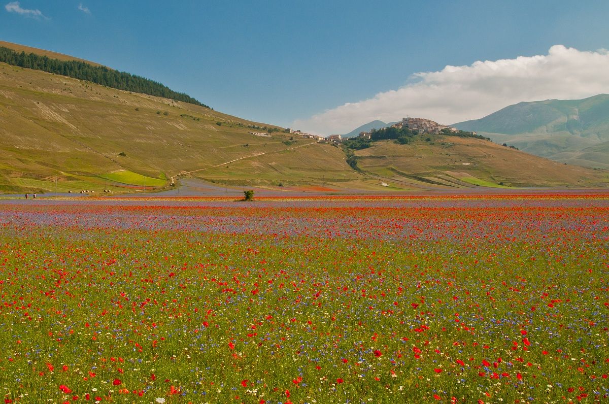 Castelluccio di Norcia