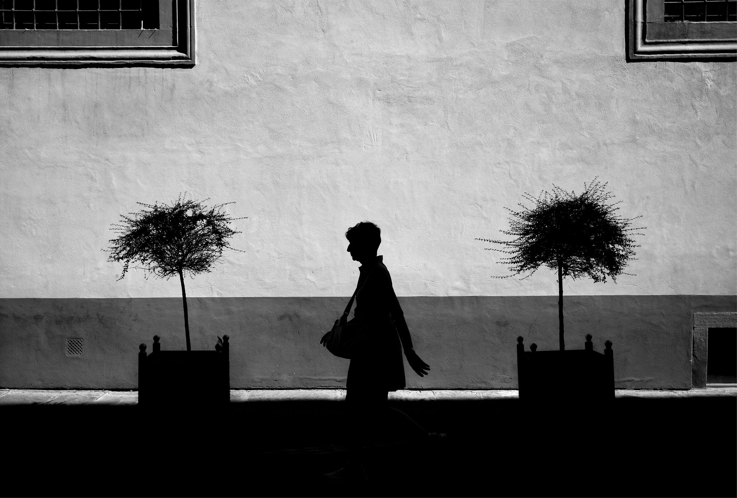 Passing By