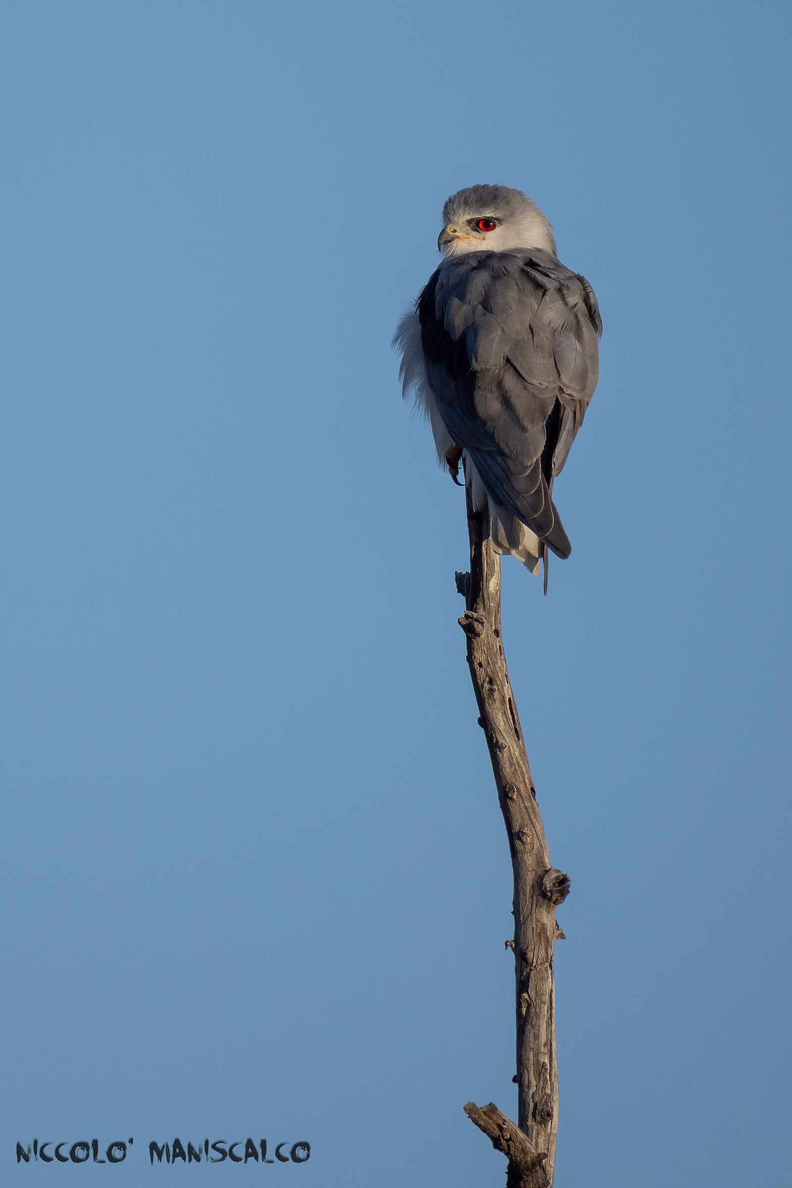 I see you (Botswana)