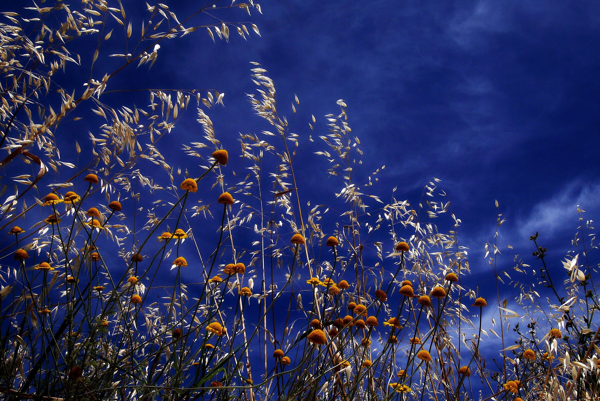 Cieli di giugno