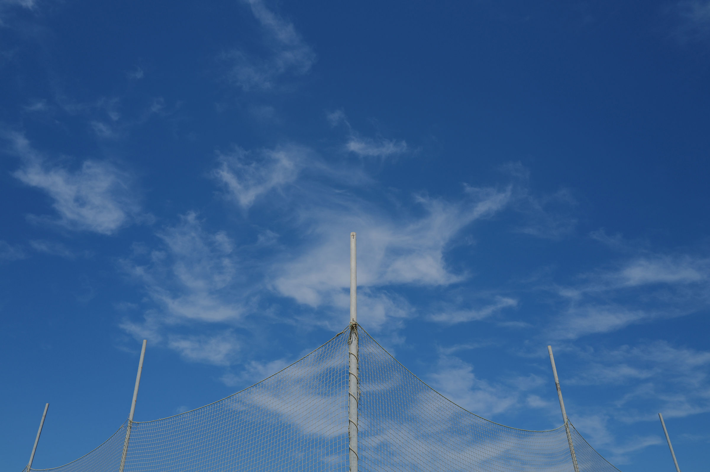 Bicromatica