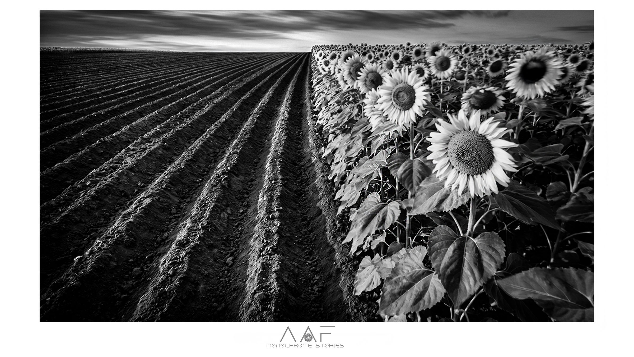 Veneto 2010