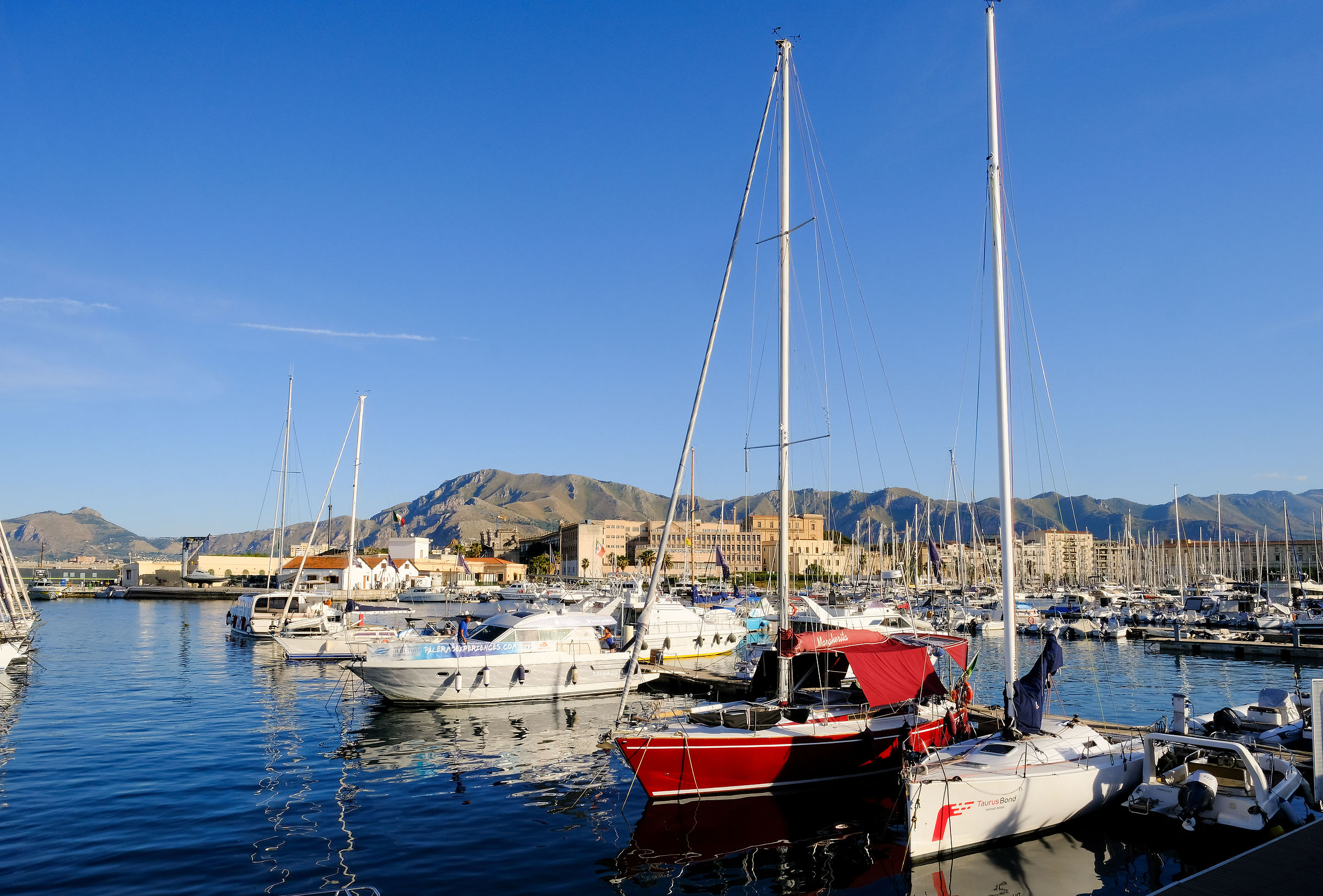 around Palermo