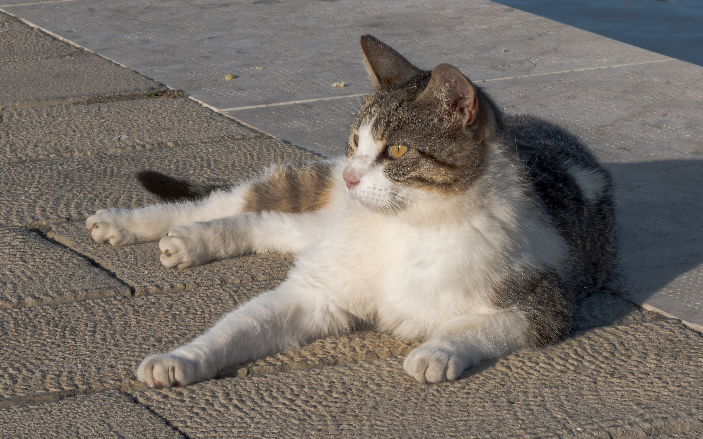 around Palermo