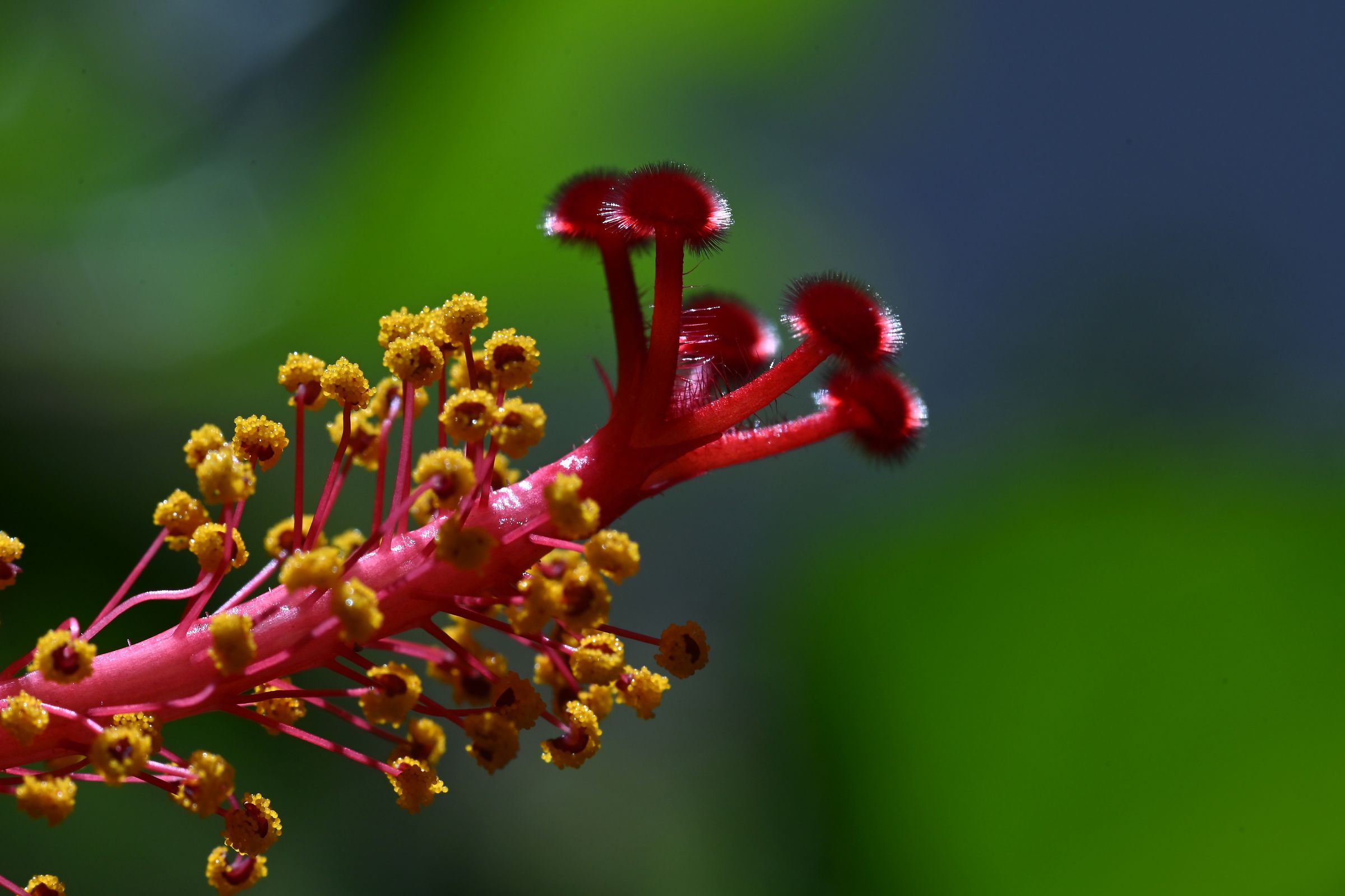 Untitled Photo
