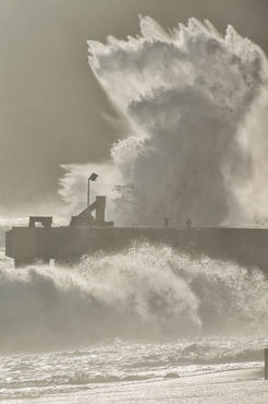 Mare