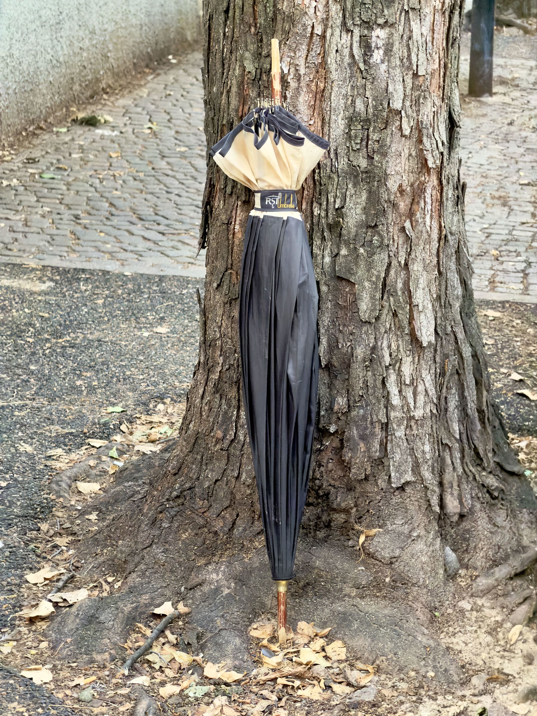 L’albero previdente- versione iPhone