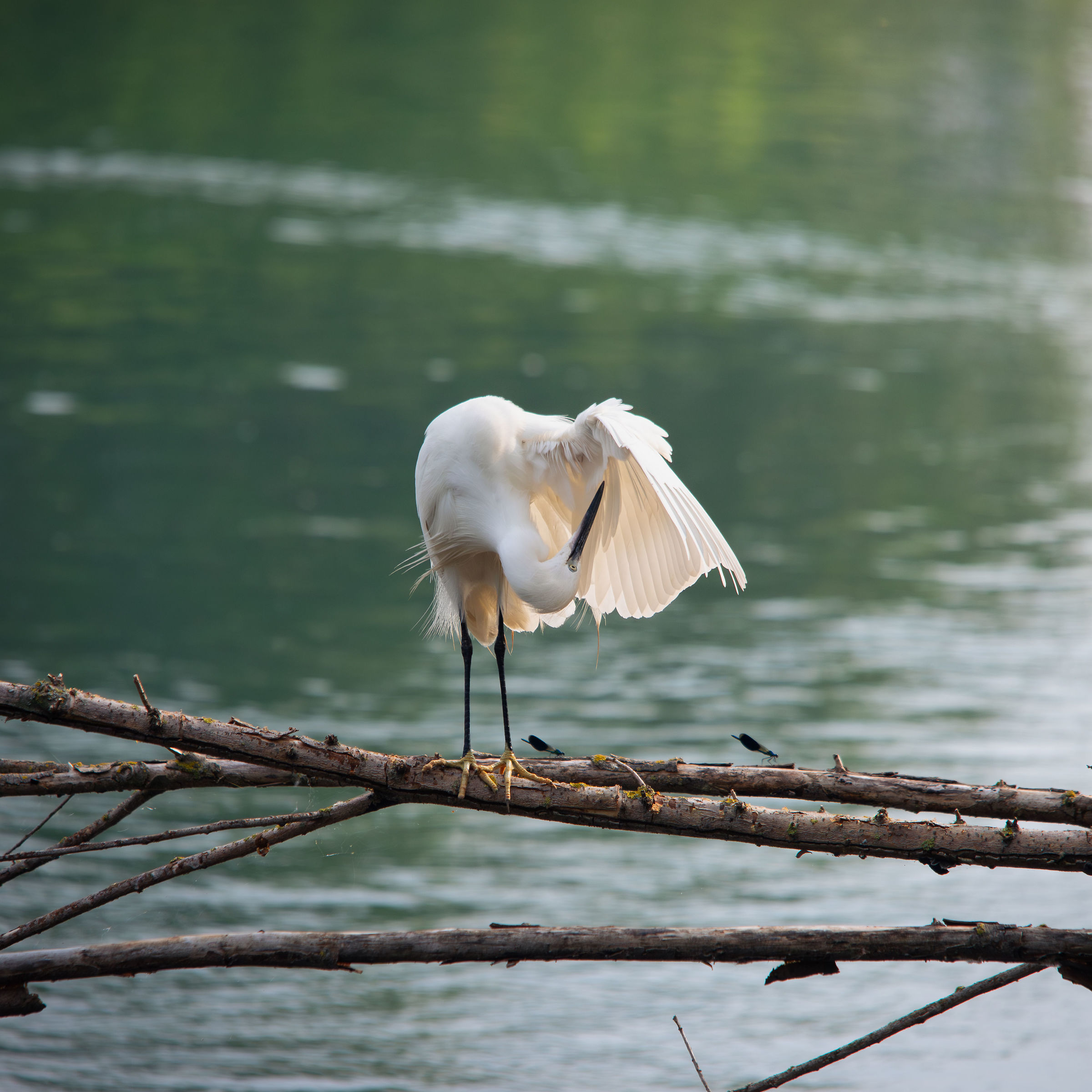 Untitled Photo