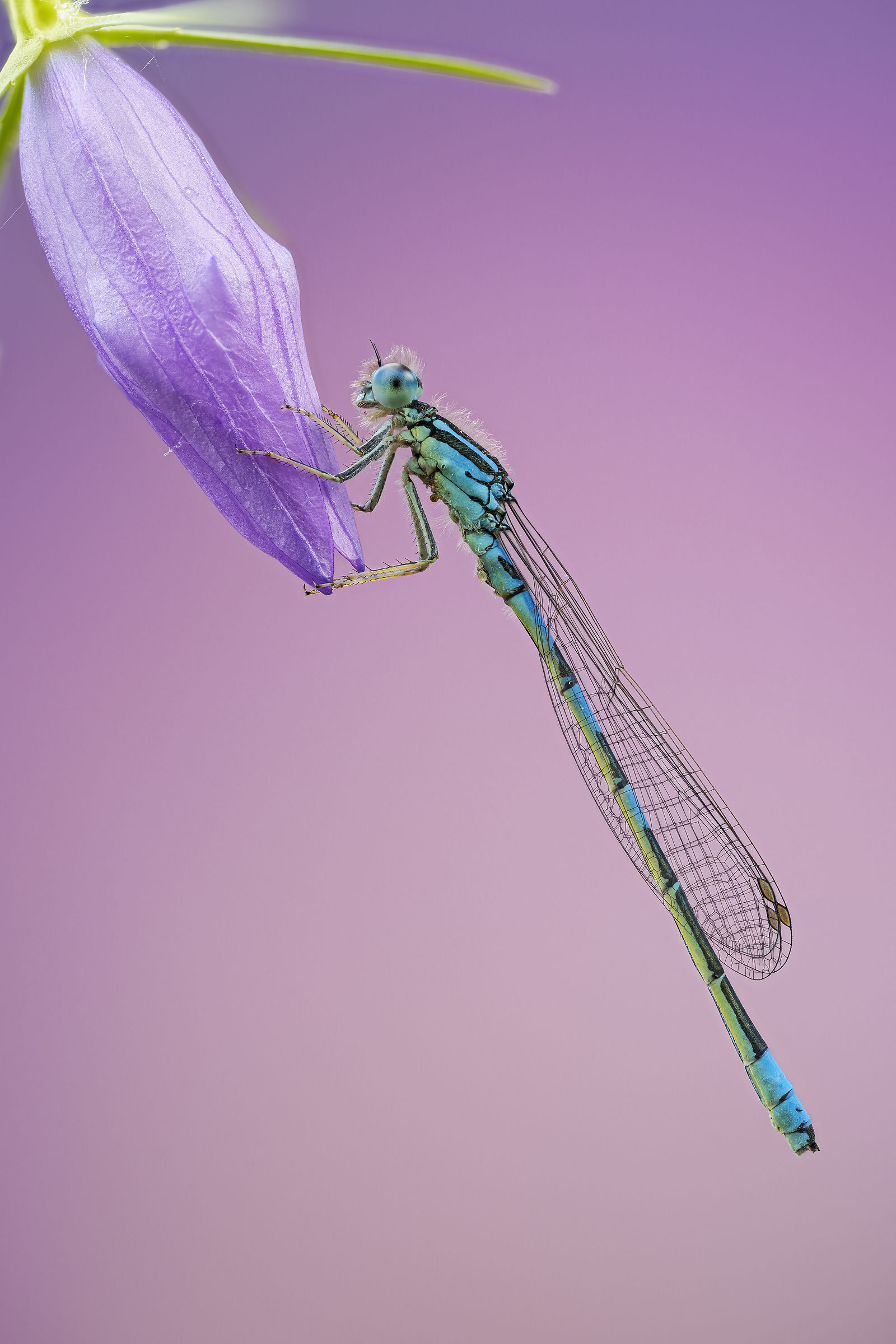 Delicate balance