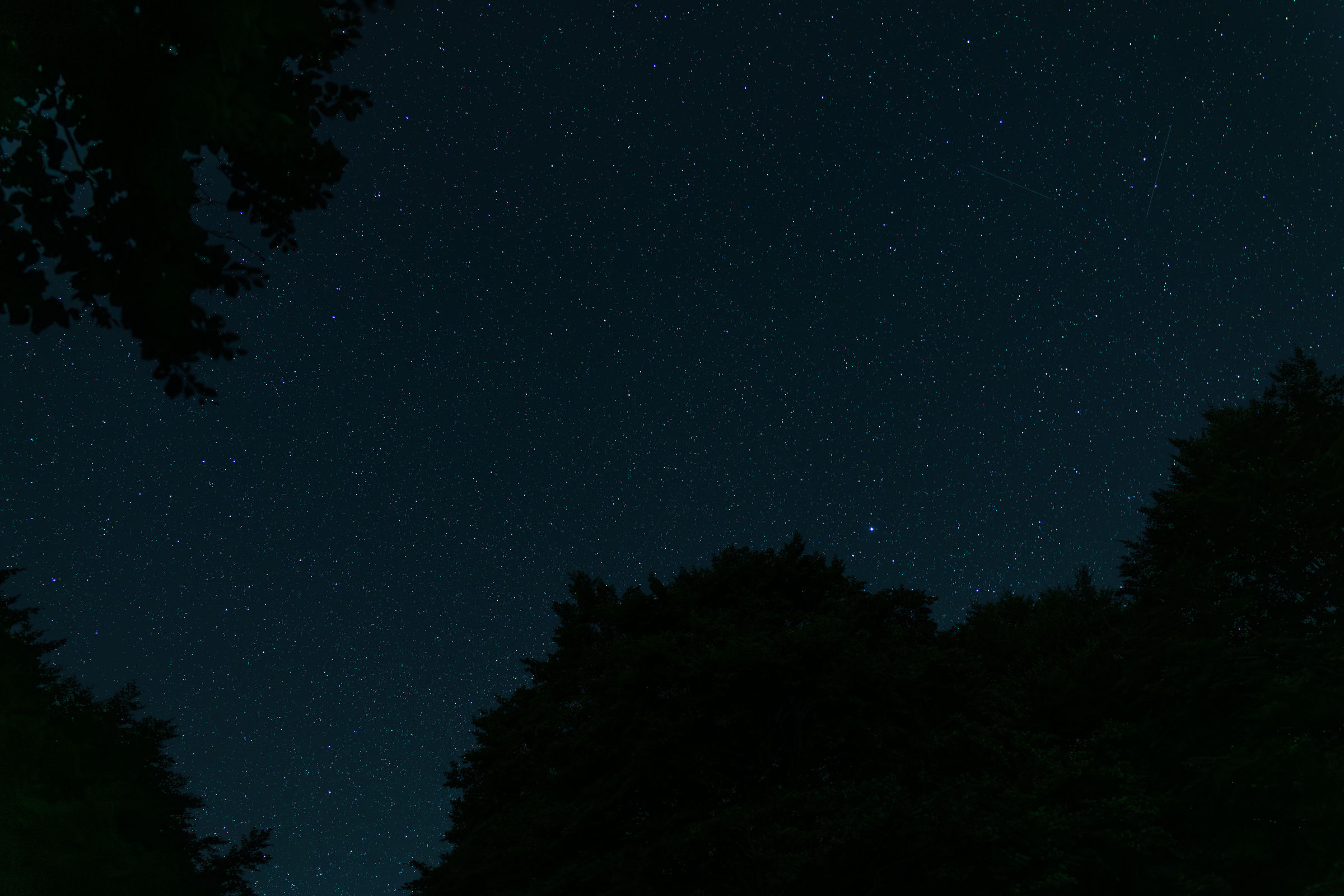 Stelle incorniciate da Aceri