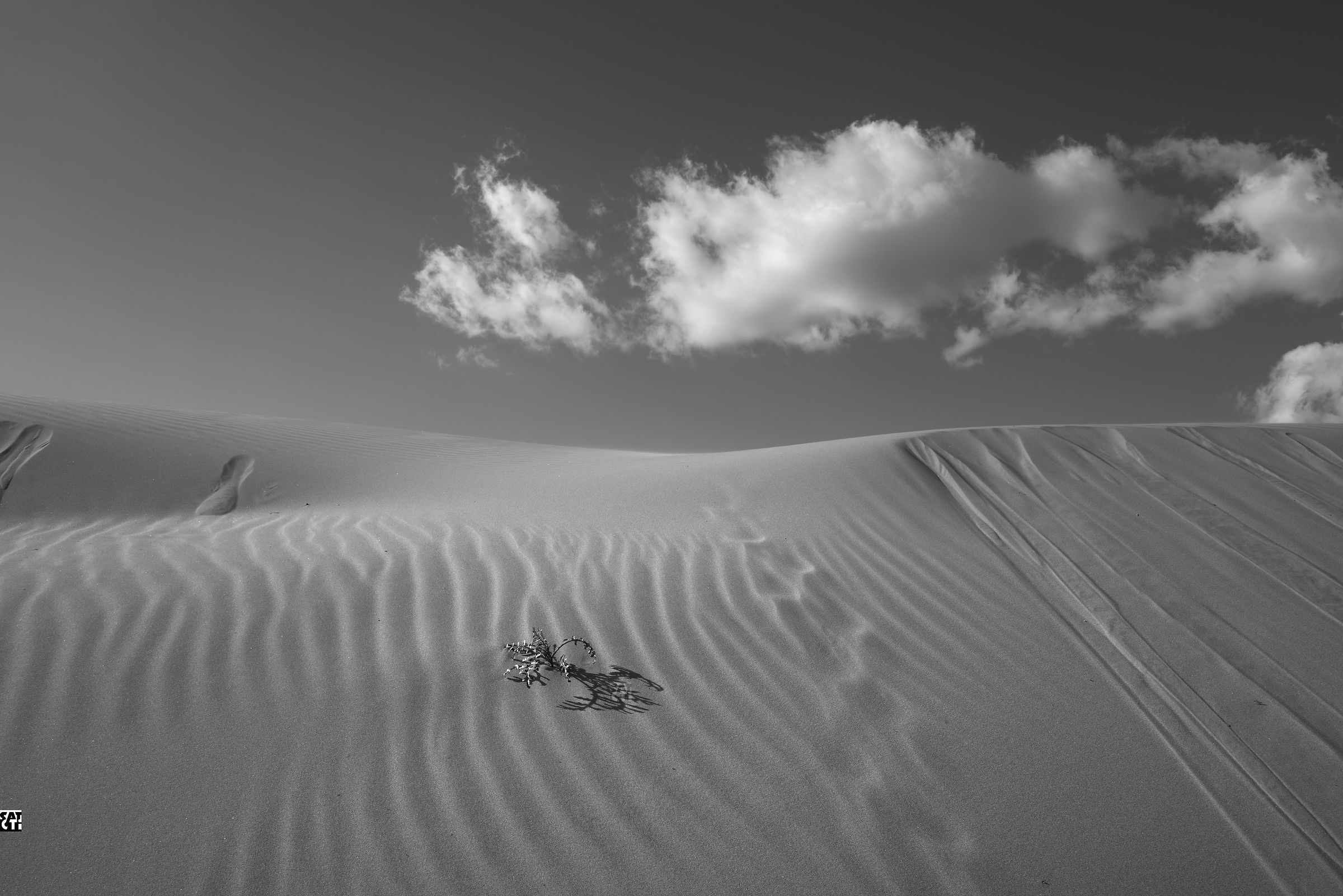 Dunes