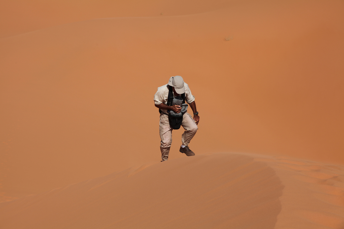 1 step forward and 2 indiero