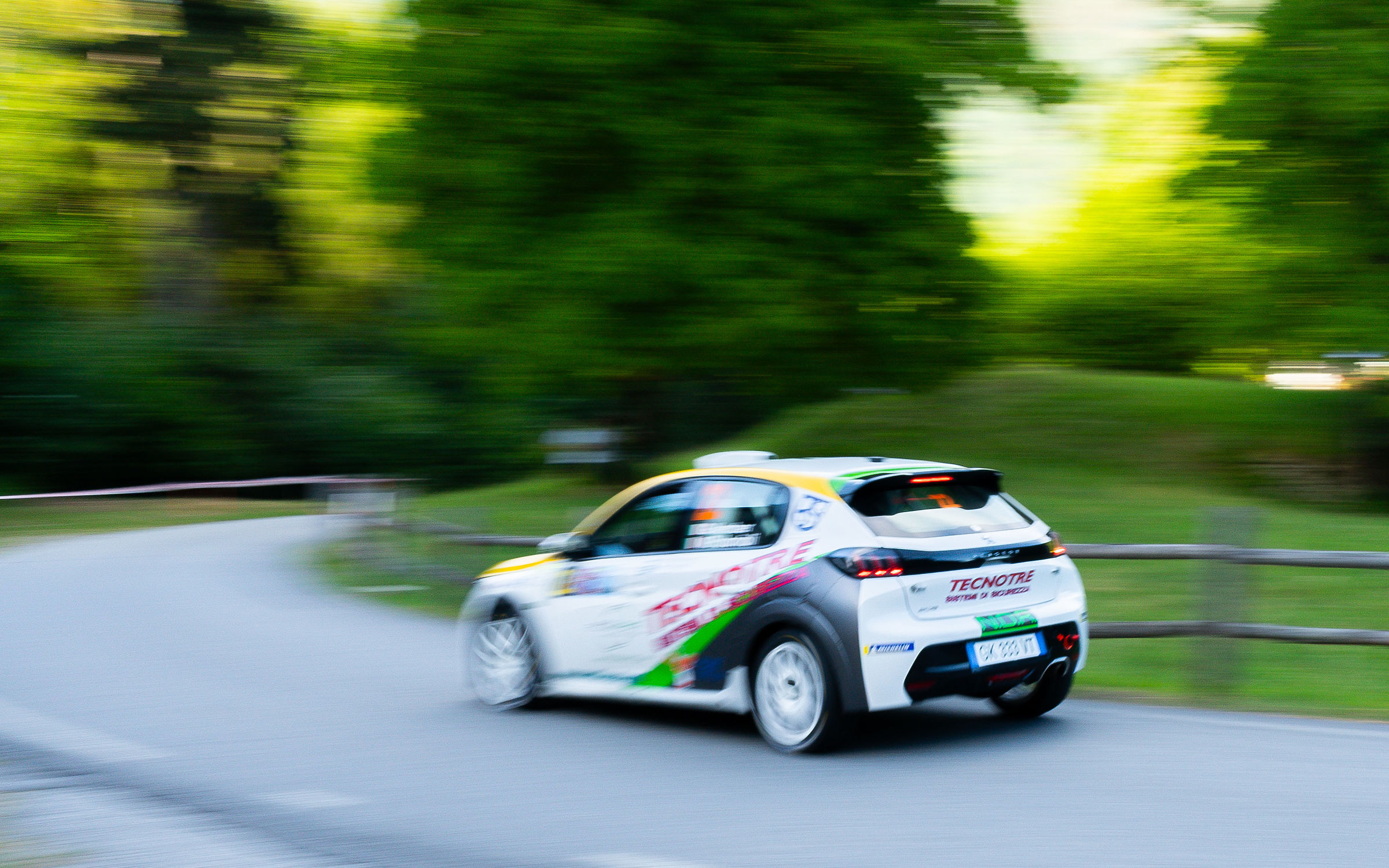 (ps2) Peugeot 208 - G. Nember/M. Polonioli