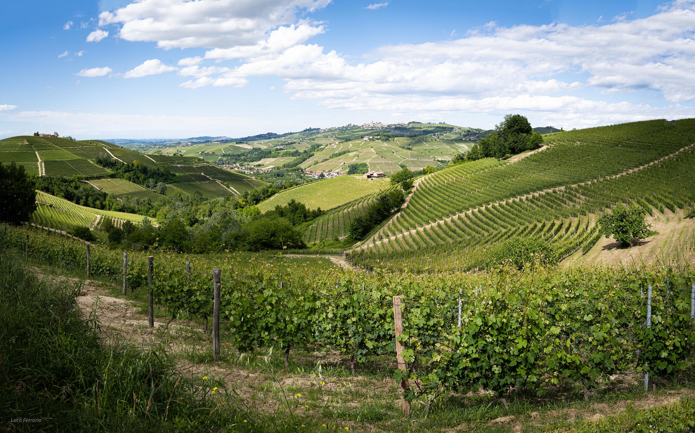 Langhe