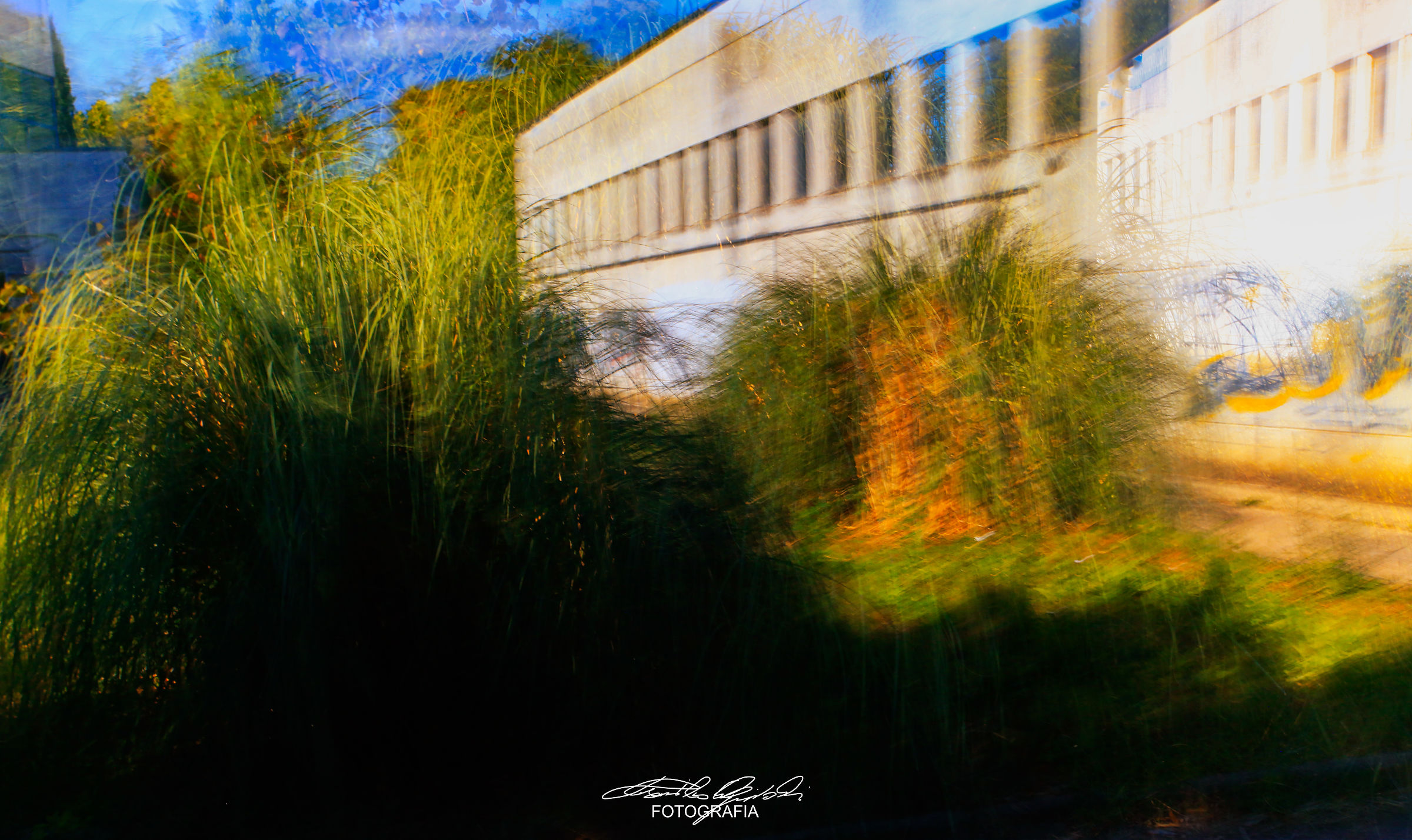 Abstract
