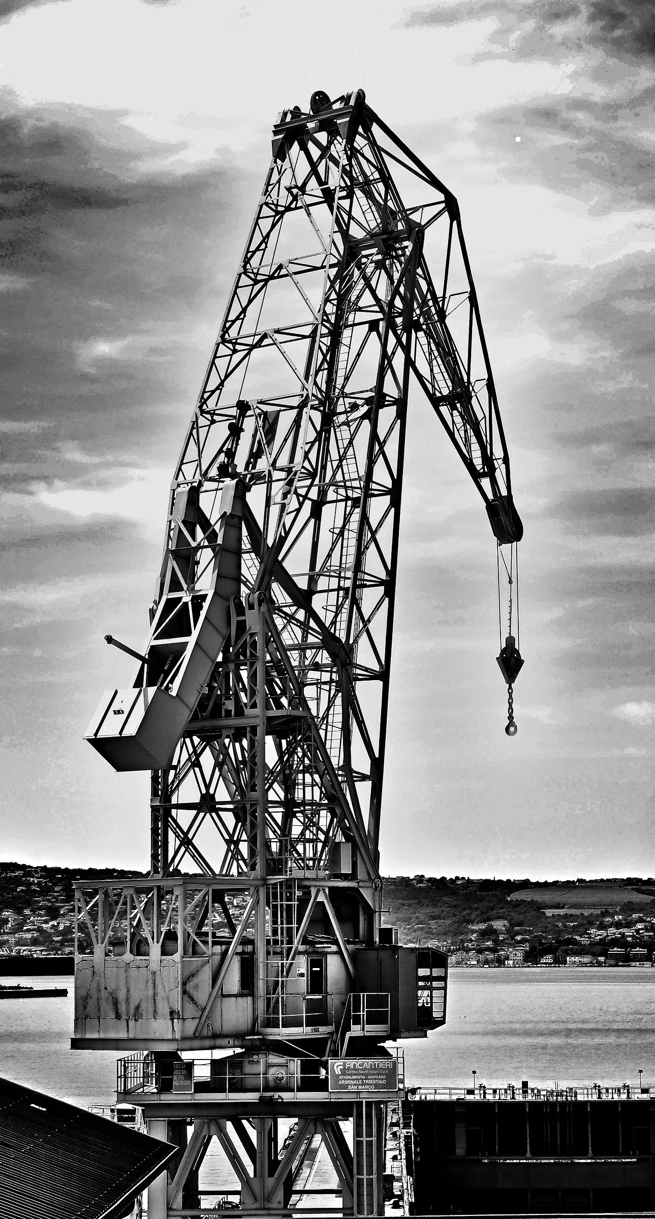 Pontoon crane