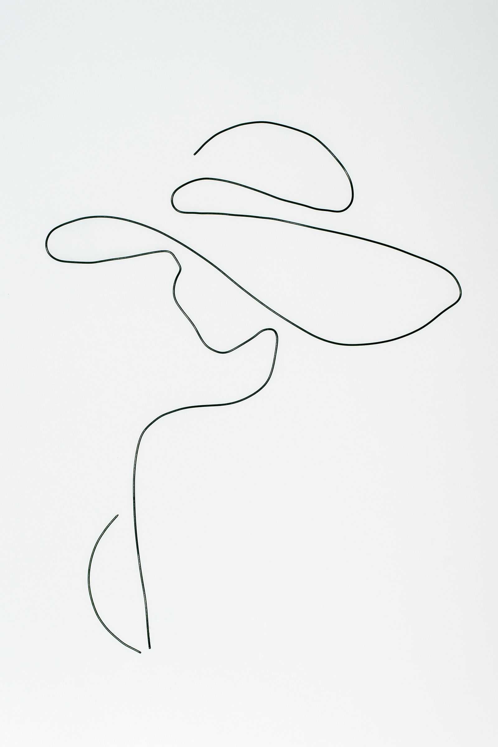 Two lines