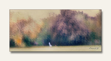 Alberi
