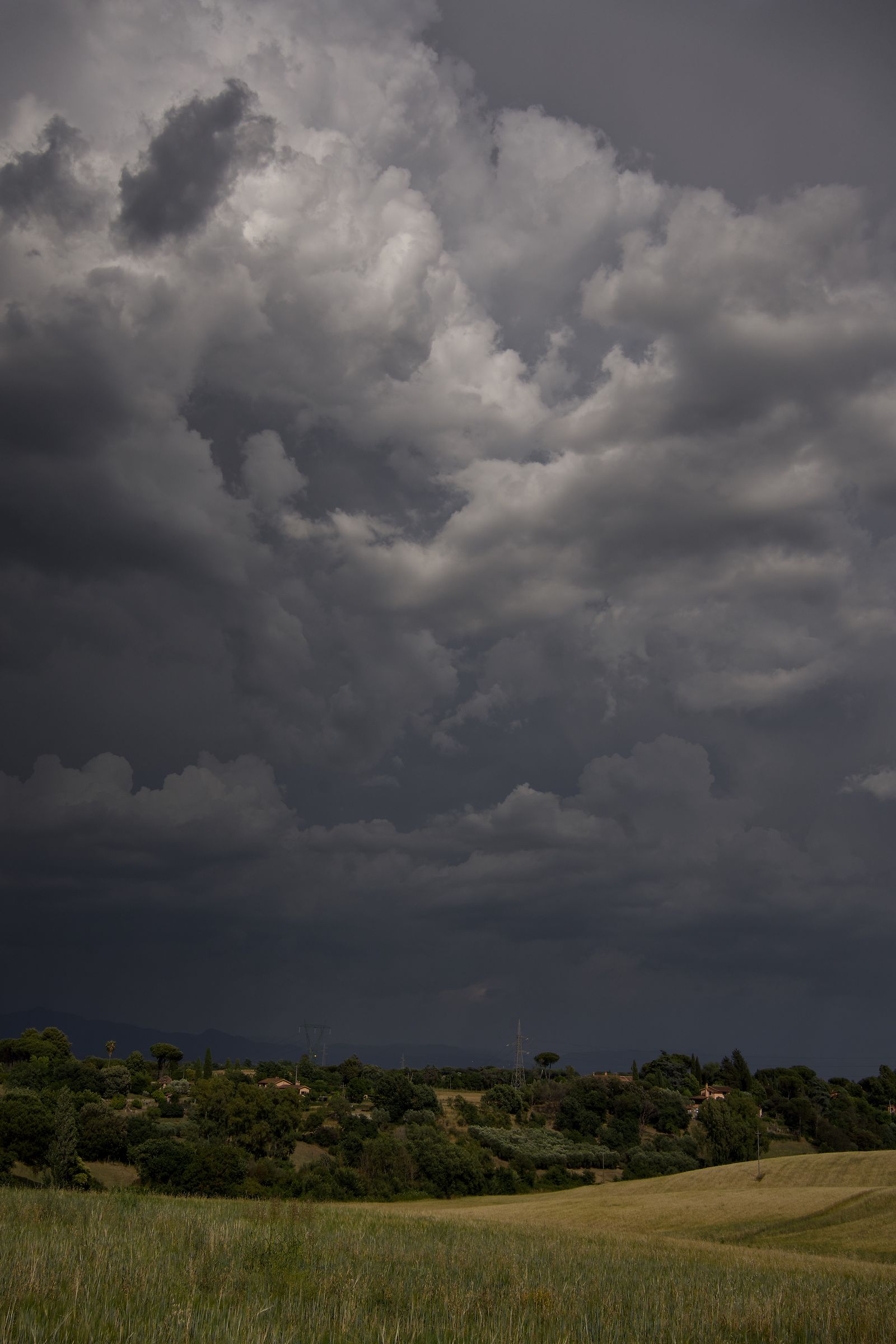 Summer Storm