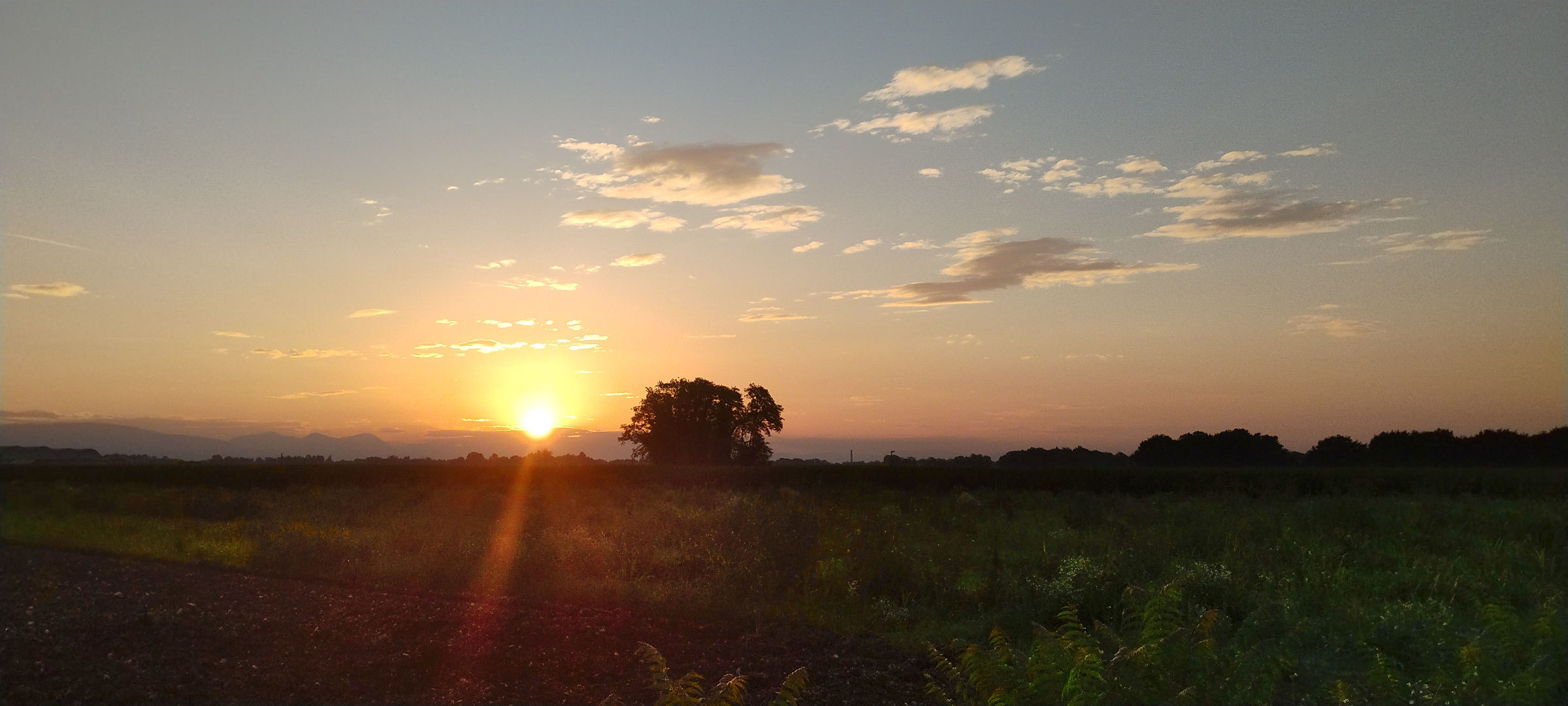 Sunrise in the plains