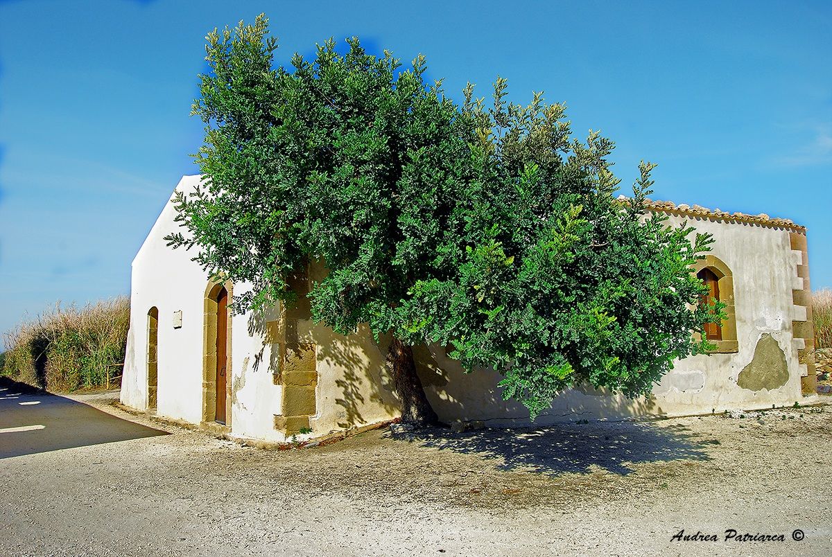 Il carrubo e la casa