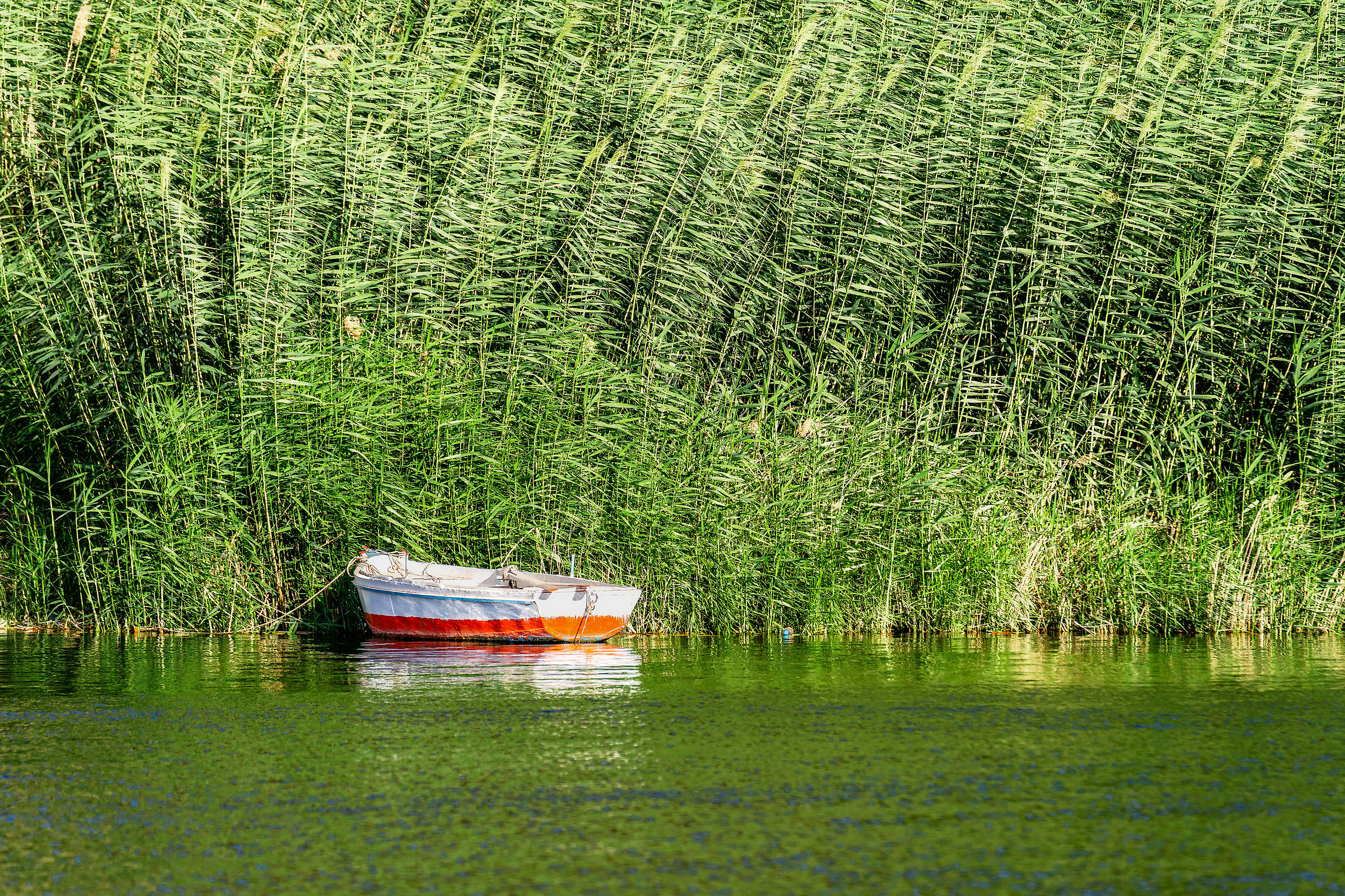 Skiff