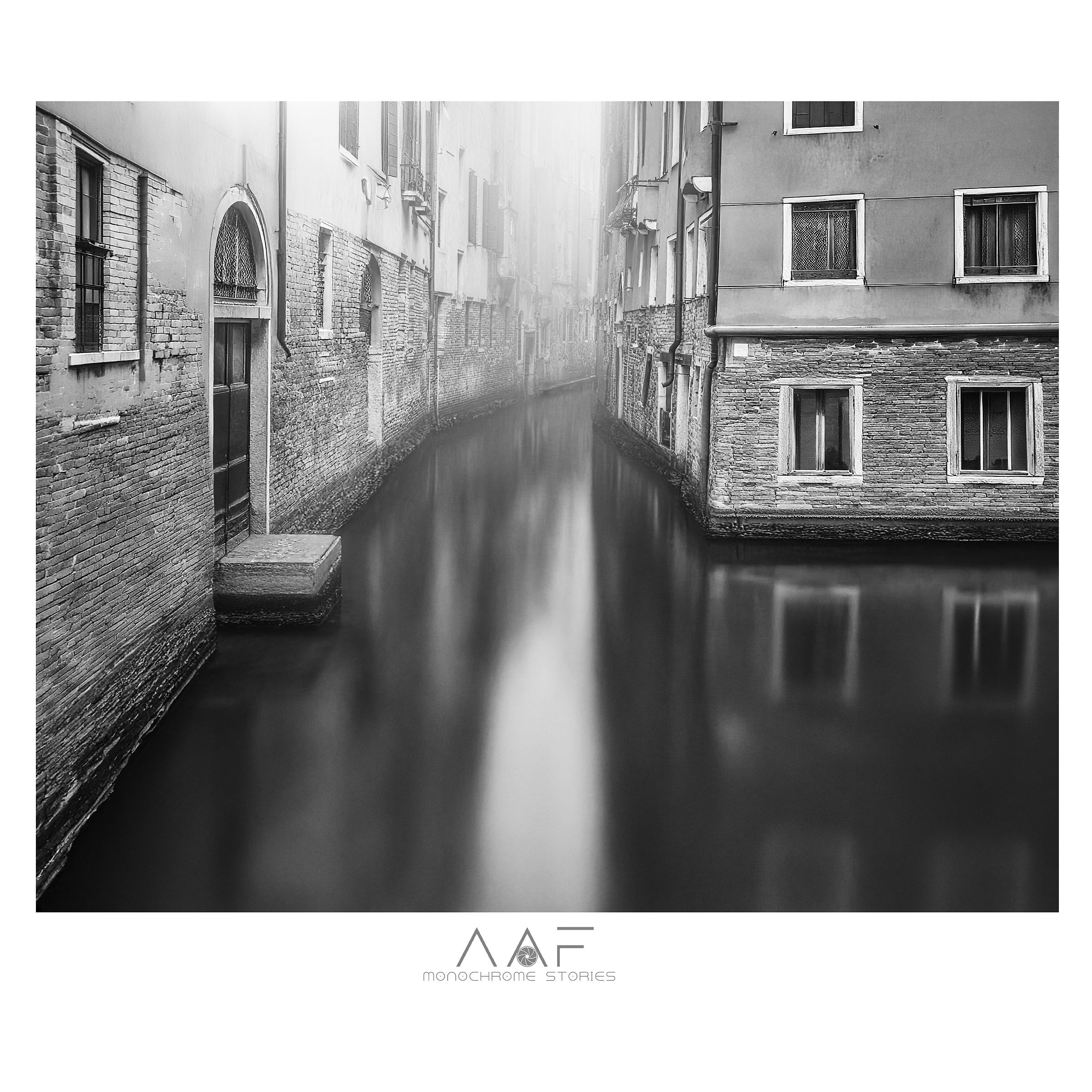 Venezia 2012