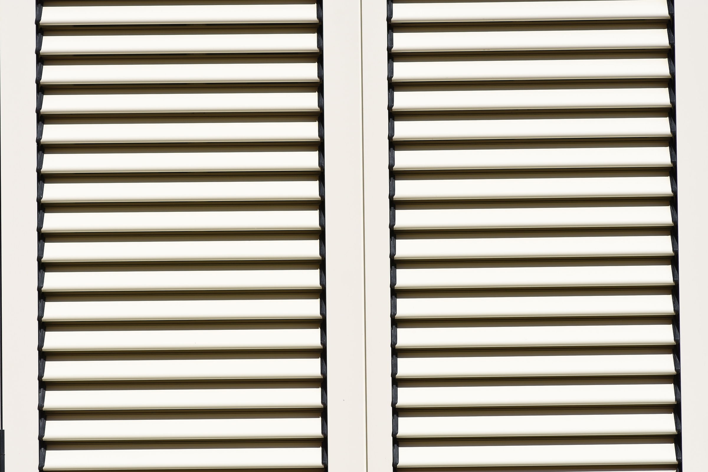" Crop 150 " Tokina 100 F. 2.8 Atx-i - Nikon D 7200