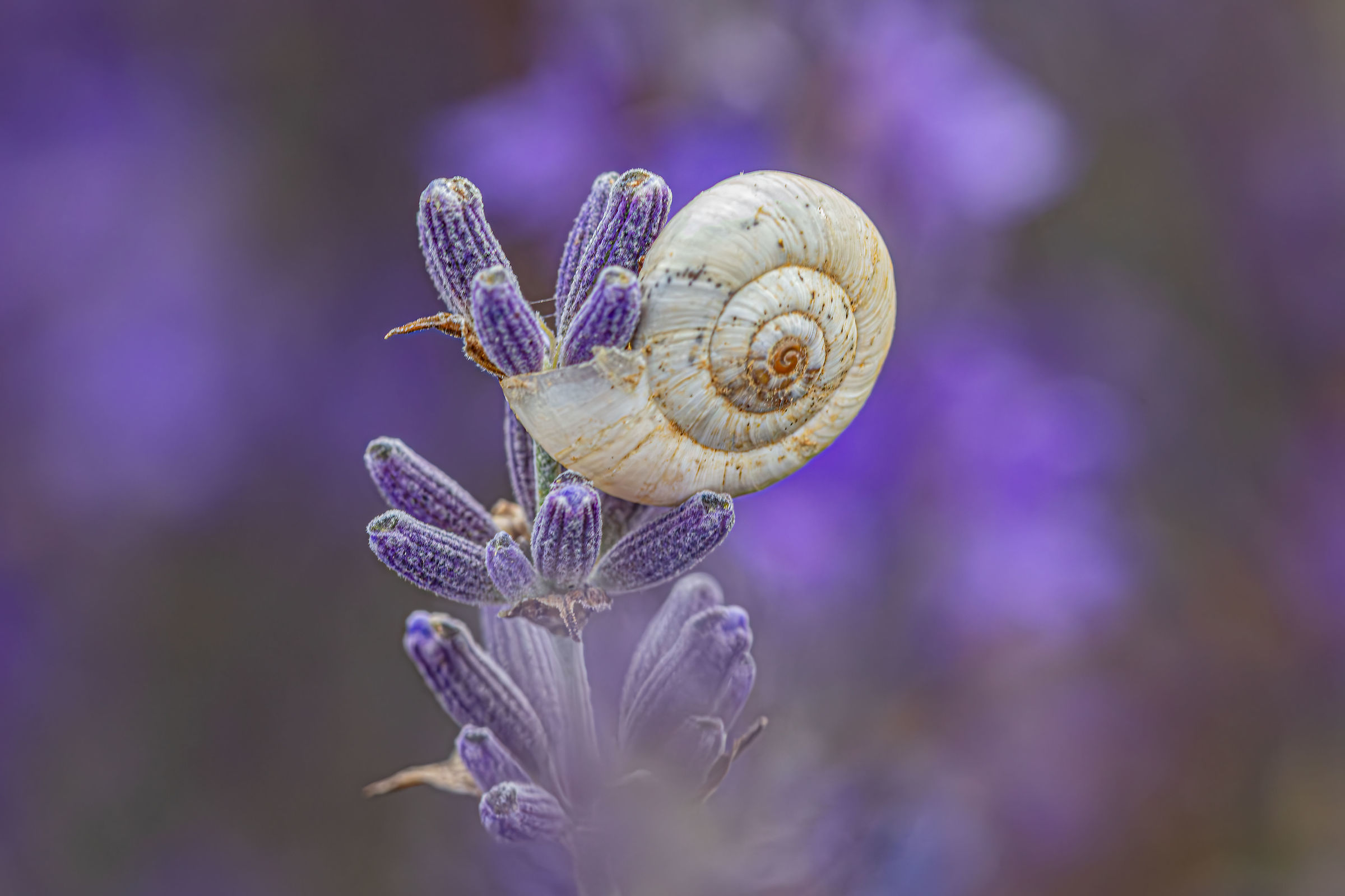 Untitled Photo